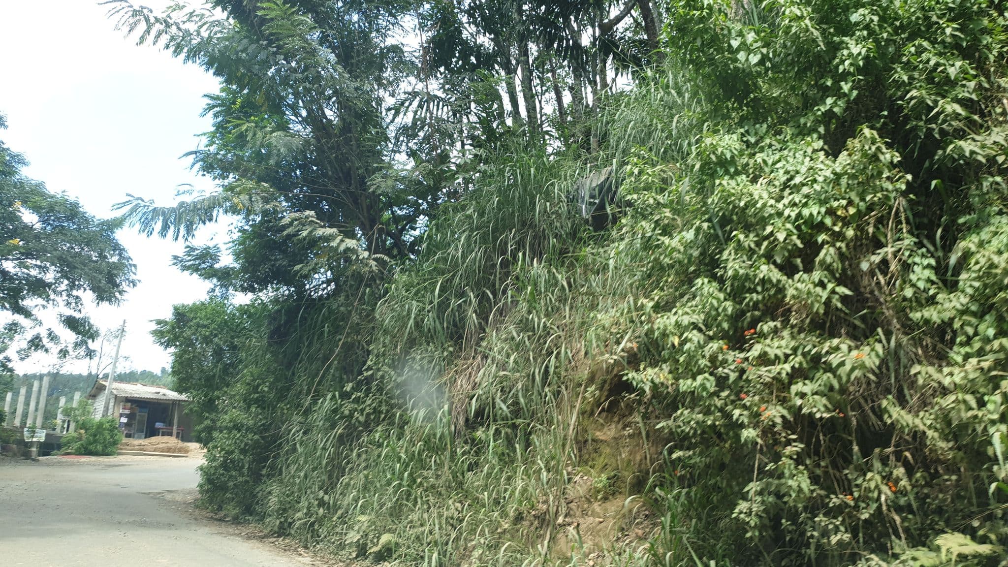 Street view near Samadhi Nature Resort, Ella Town