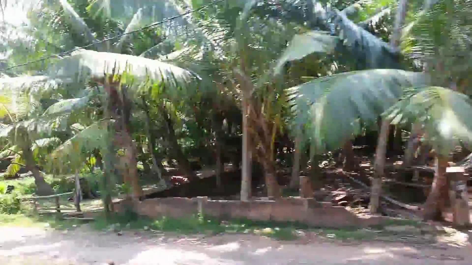 Street view near Roy villa, Kalutara — © cut (CC BY-SA · Mapillary)