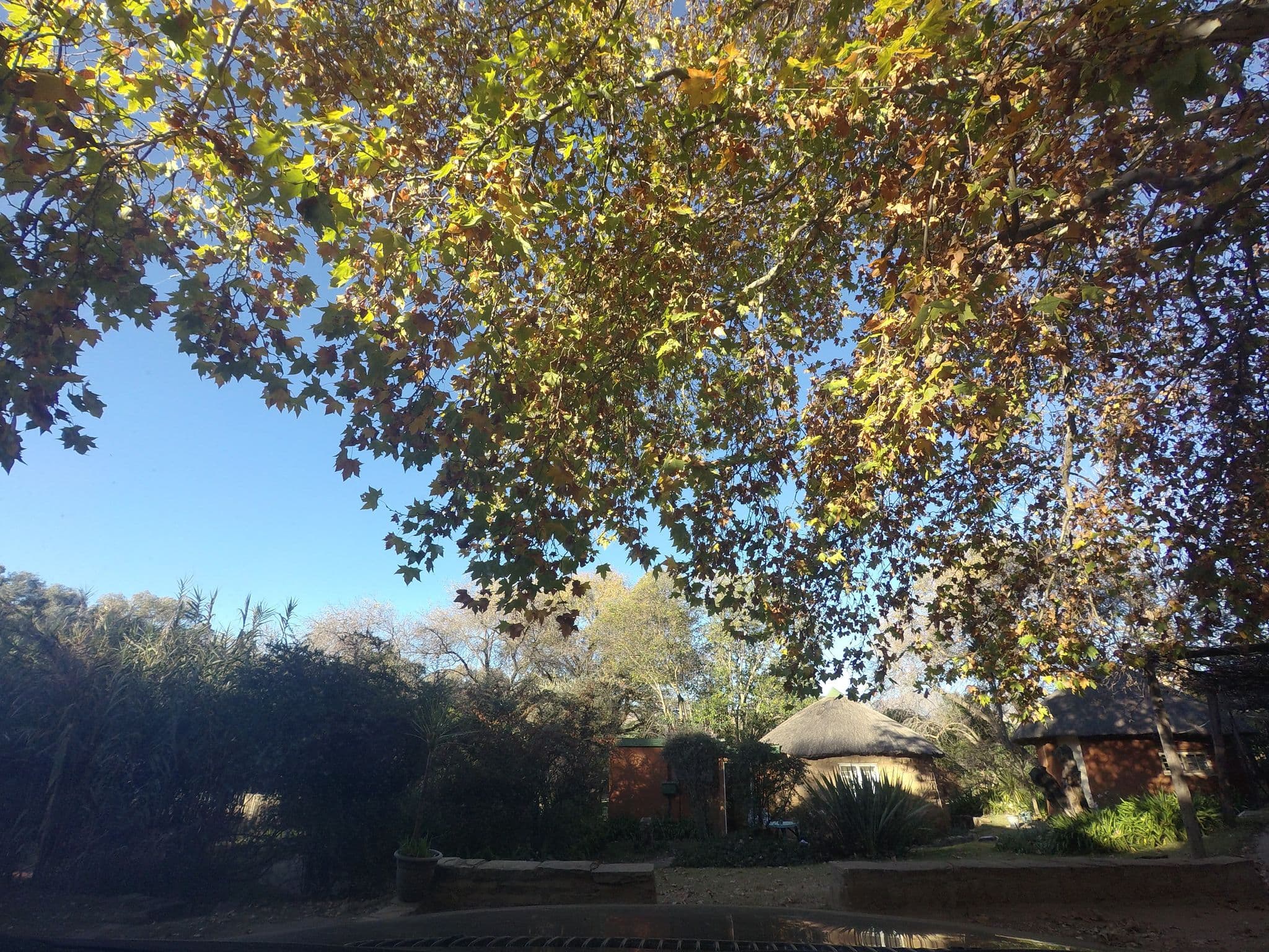 Street view near Roma Trading Posr Camp Site 2, Roma — © nuts2001 (CC BY-SA · Mapillary)