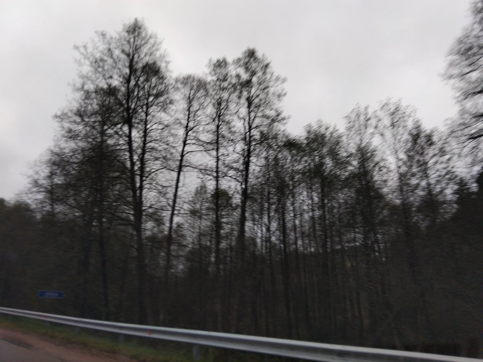 Street view near Grūdos stovyklavietė, Varėna — © DonataM_Pietu (CC BY-SA · Mapillary)