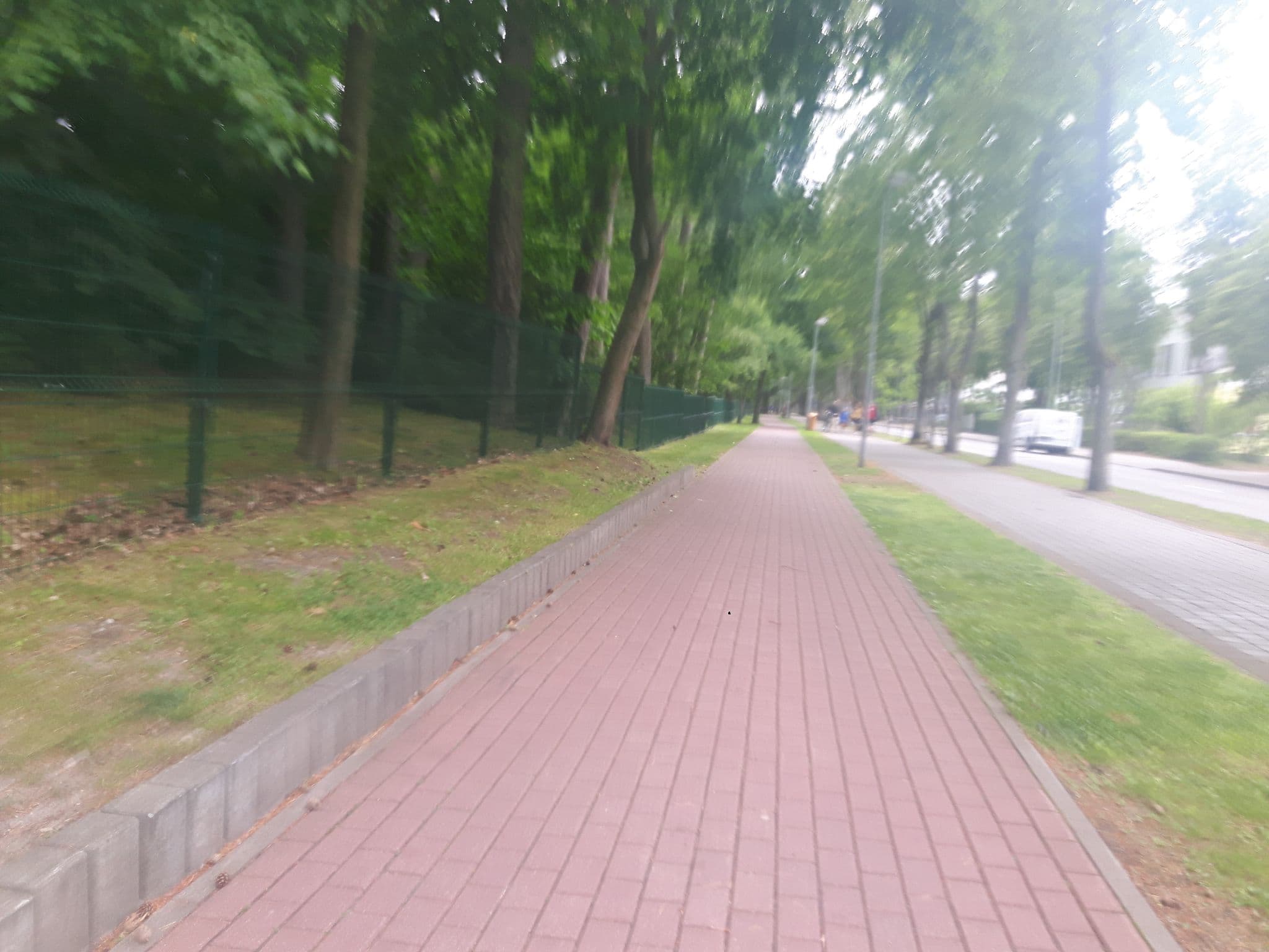 Street view near Pušų paunksnėje, Palanga — © changchun1 (CC BY-SA · Mapillary)