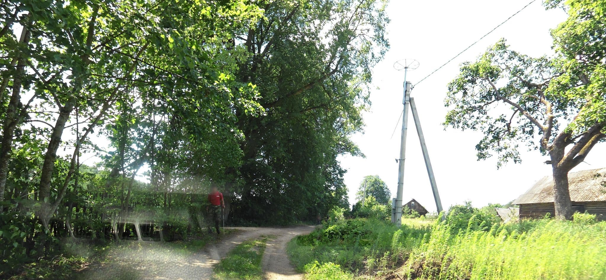 Street view near Neries vila, Nemenčinė — © aurimas (CC BY-SA · Mapillary)