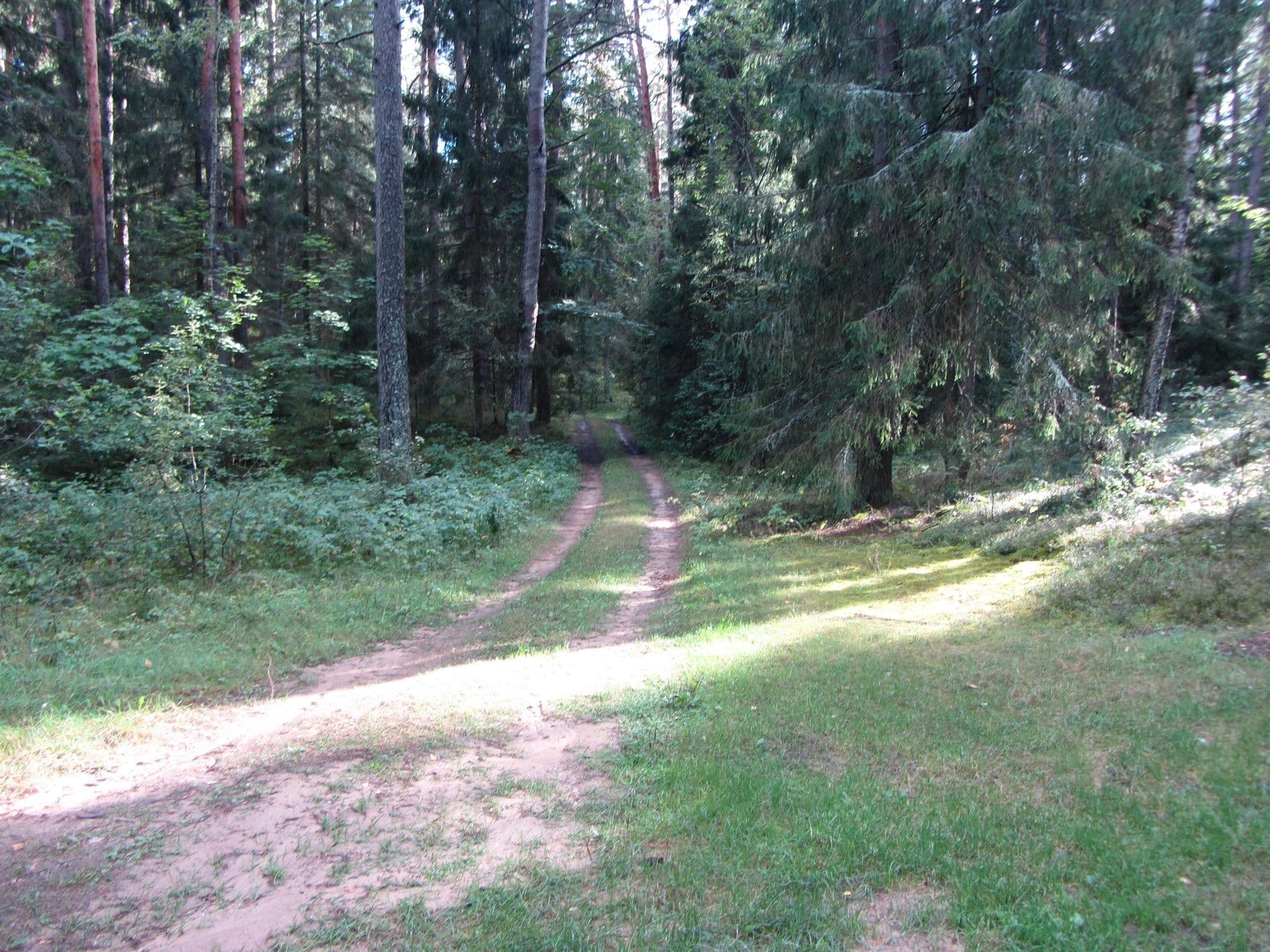 Street view near Degučių stovyklavietė, Zarasai — © vietoveslt (CC BY-SA · Mapillary)