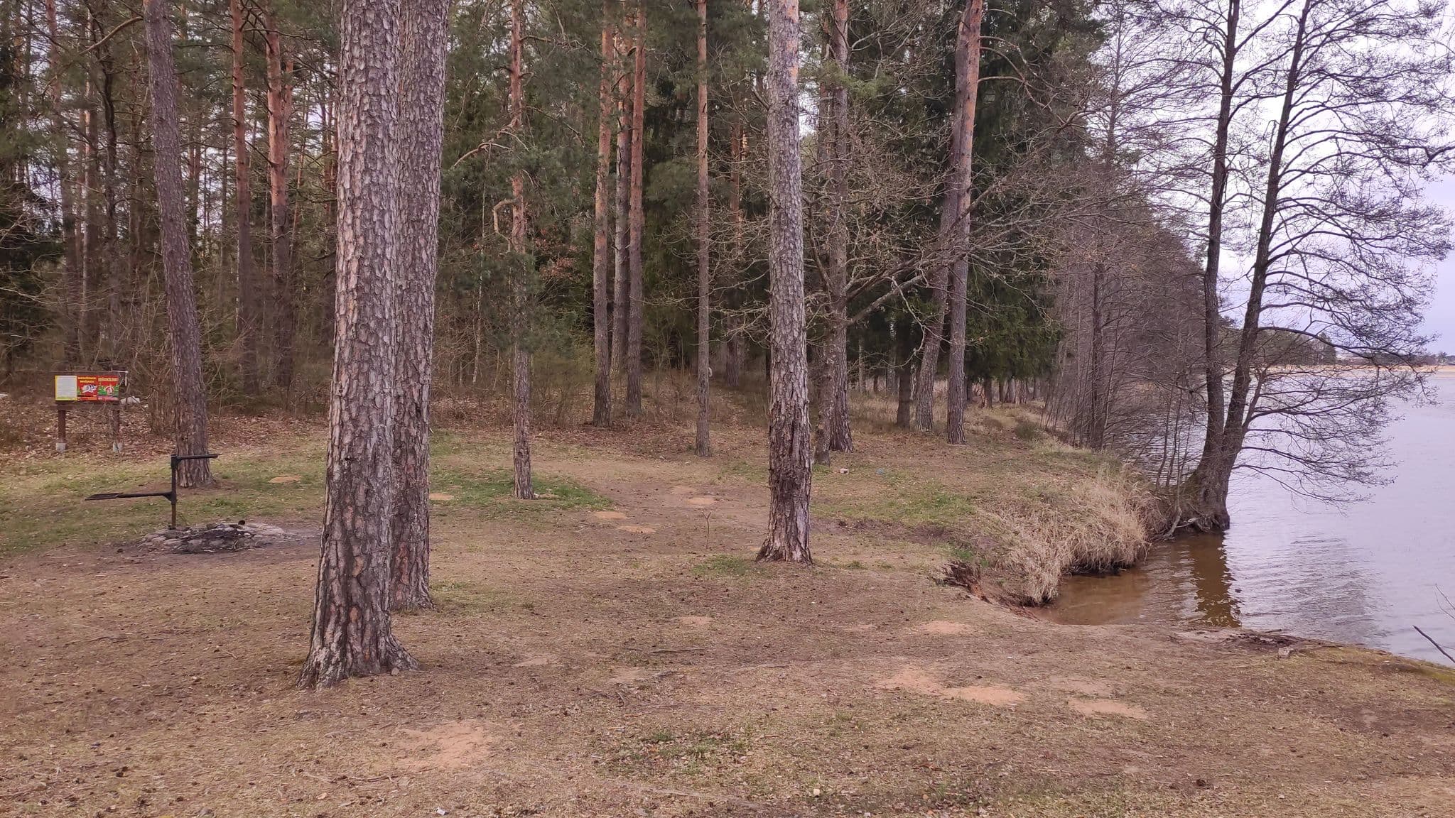Street view near Arino I stovyklavietė, Pabradė — © nemasas (CC BY-SA · Mapillary)