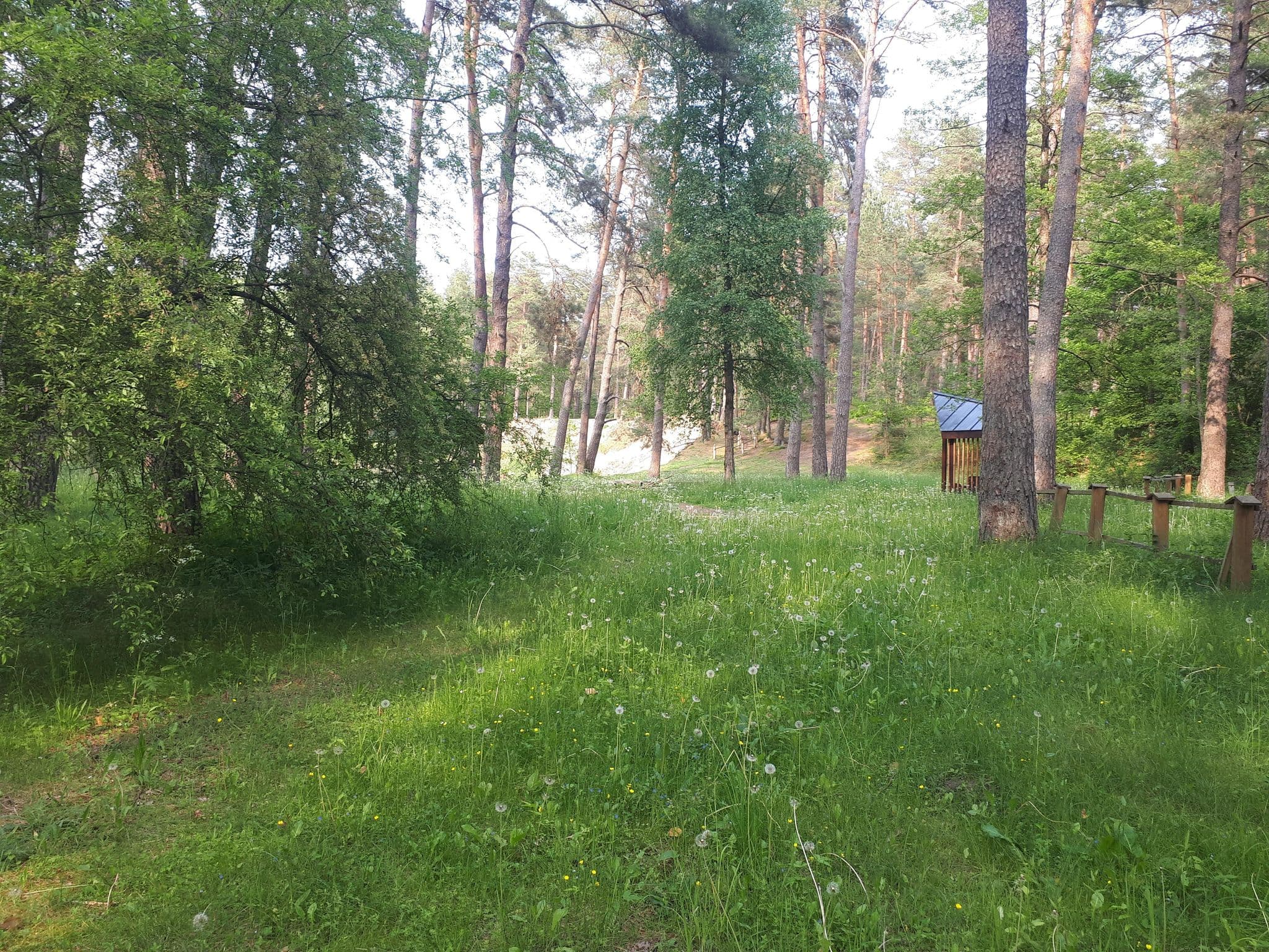 Street view near Santakio miško stovyklavietė, Matuizos — © vietoveslt (CC BY-SA · Mapillary)