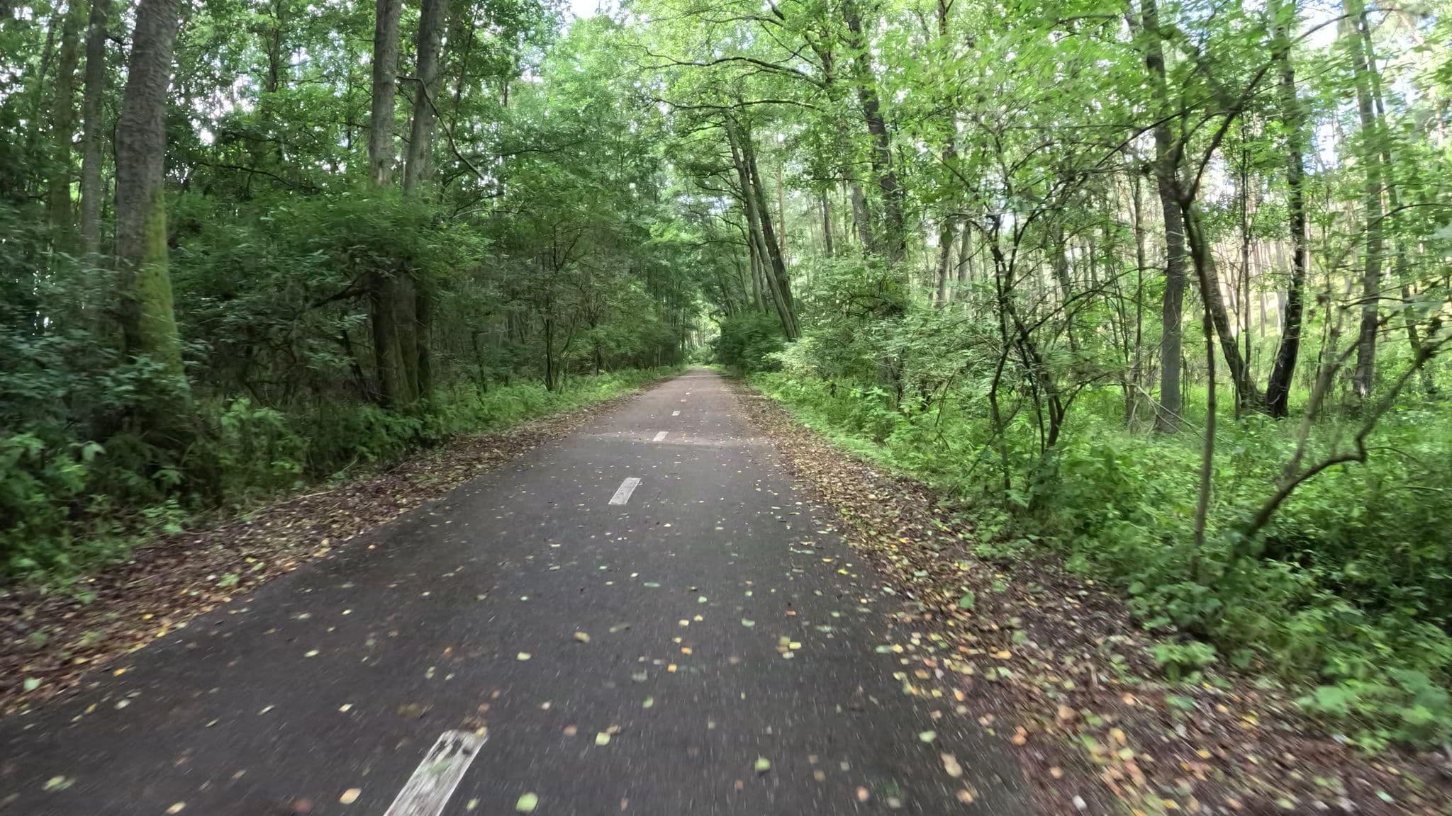 Street view near Preilos Perliukas, Neringa — © fischnchips (CC BY-SA · Mapillary)