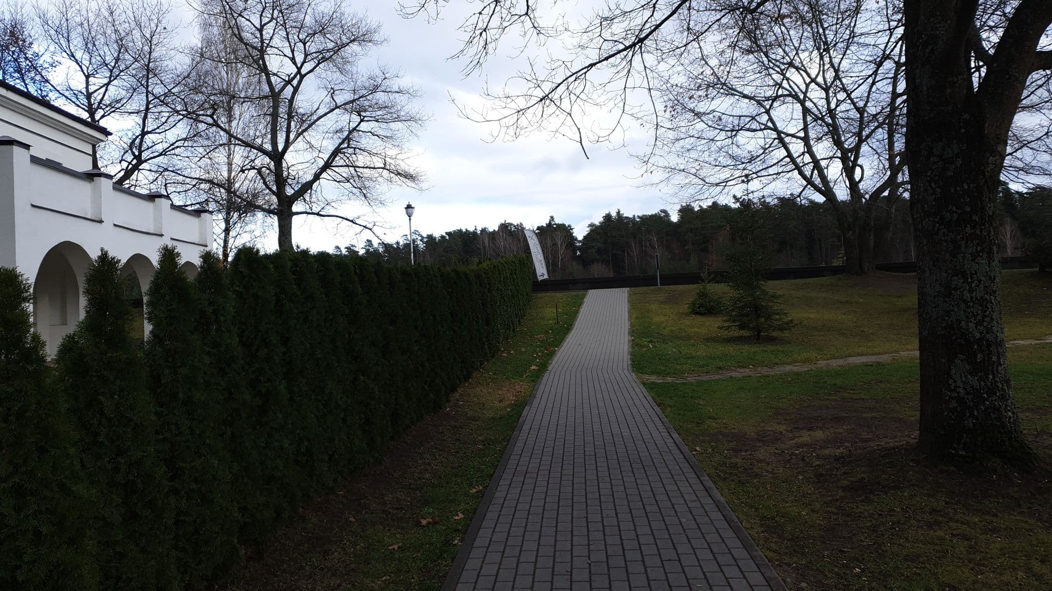 Street view near Birštono tulpė, Birštonas — © aleksasfi (CC BY-SA · Mapillary)