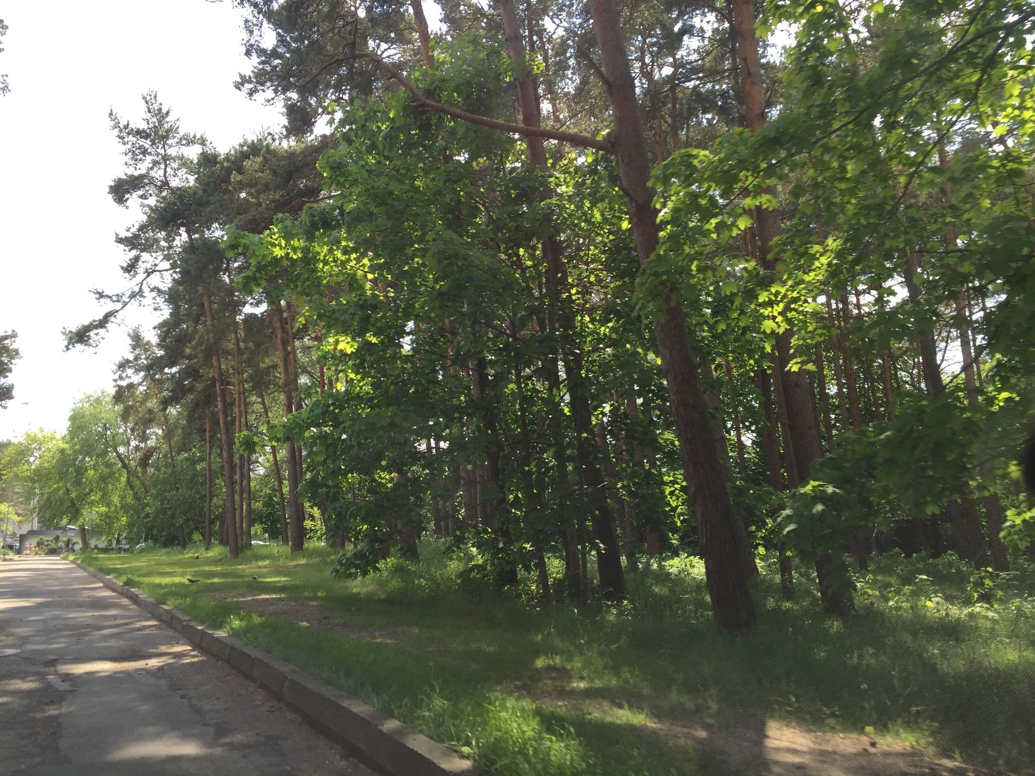 Street view near Apartamentai Naglis, Palanga — © richlv (CC BY-SA · Mapillary)