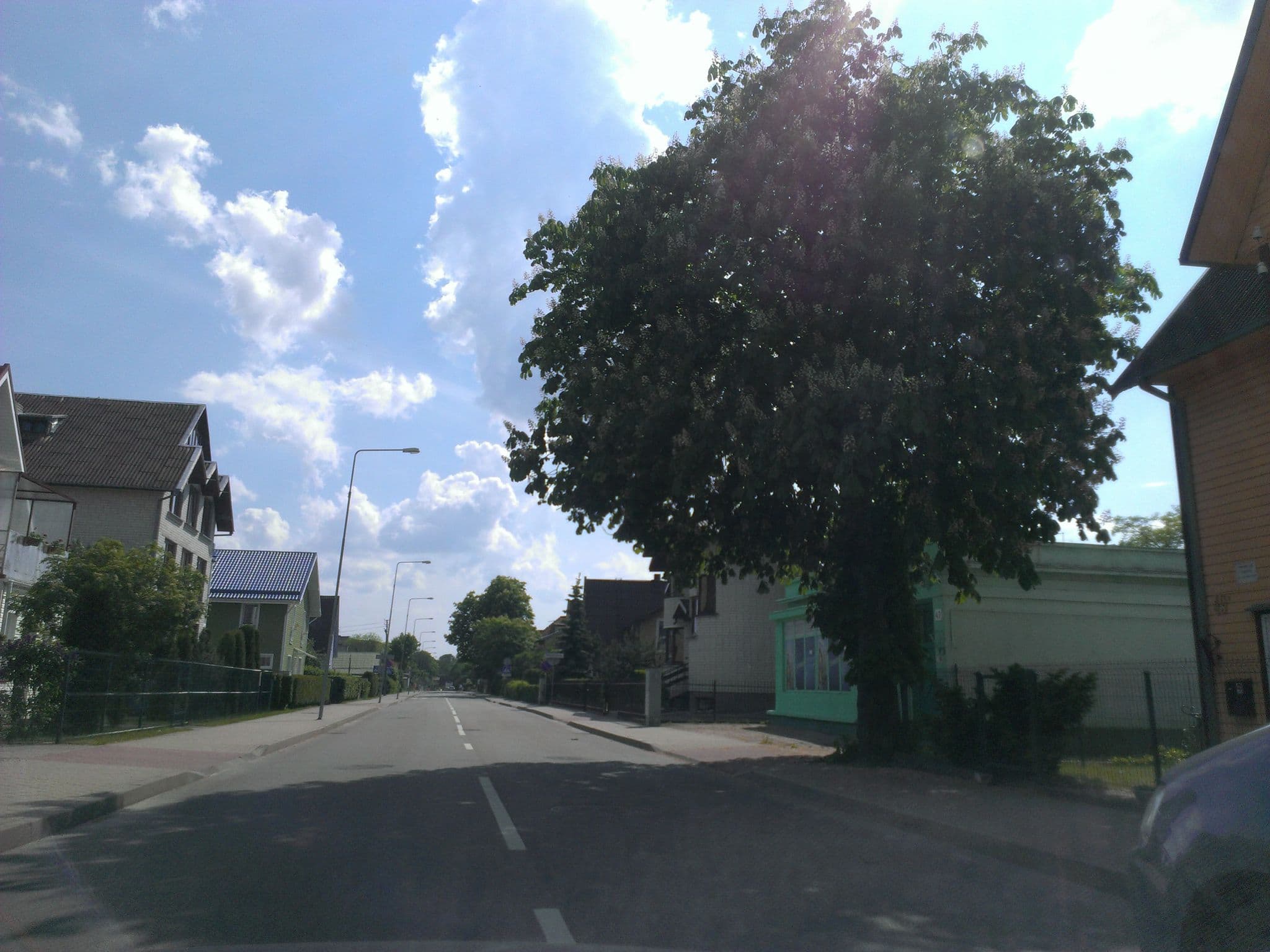 Street view near Vila Levita, Palanga — © anabioze (CC BY-SA · Mapillary)