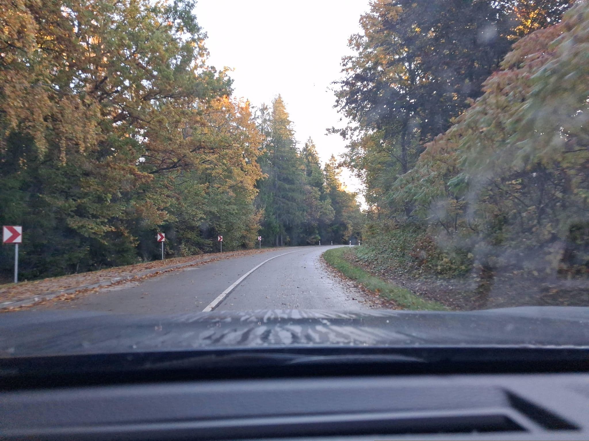Street view near Plokštinės pamiškė, Plateliai — © RaimondasK_Vakaru (CC BY-SA · Mapillary)