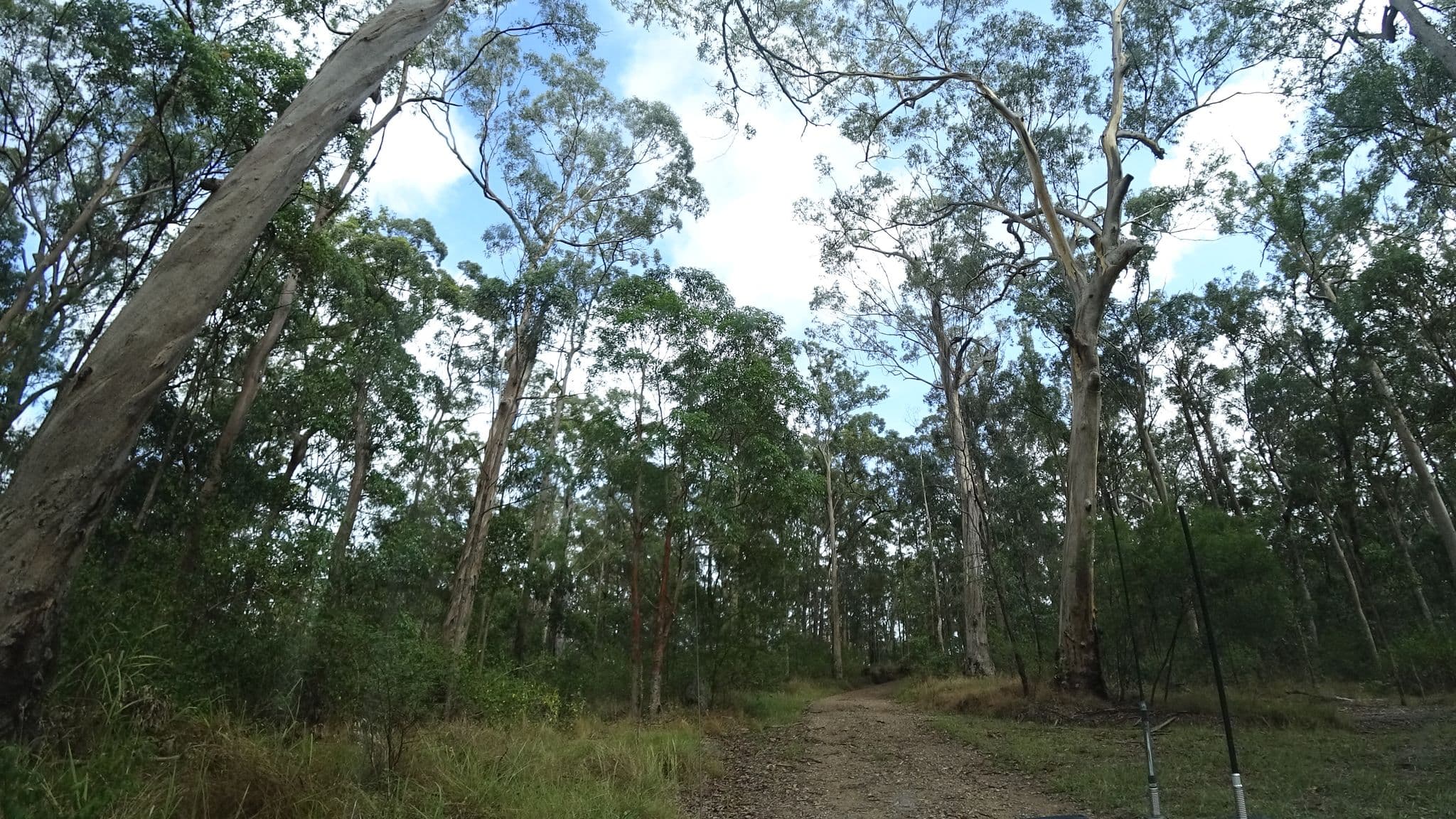 Street view near Scrub Road bush Camp, Camp Mountain — © vagrant42 (CC BY-SA · Mapillary)