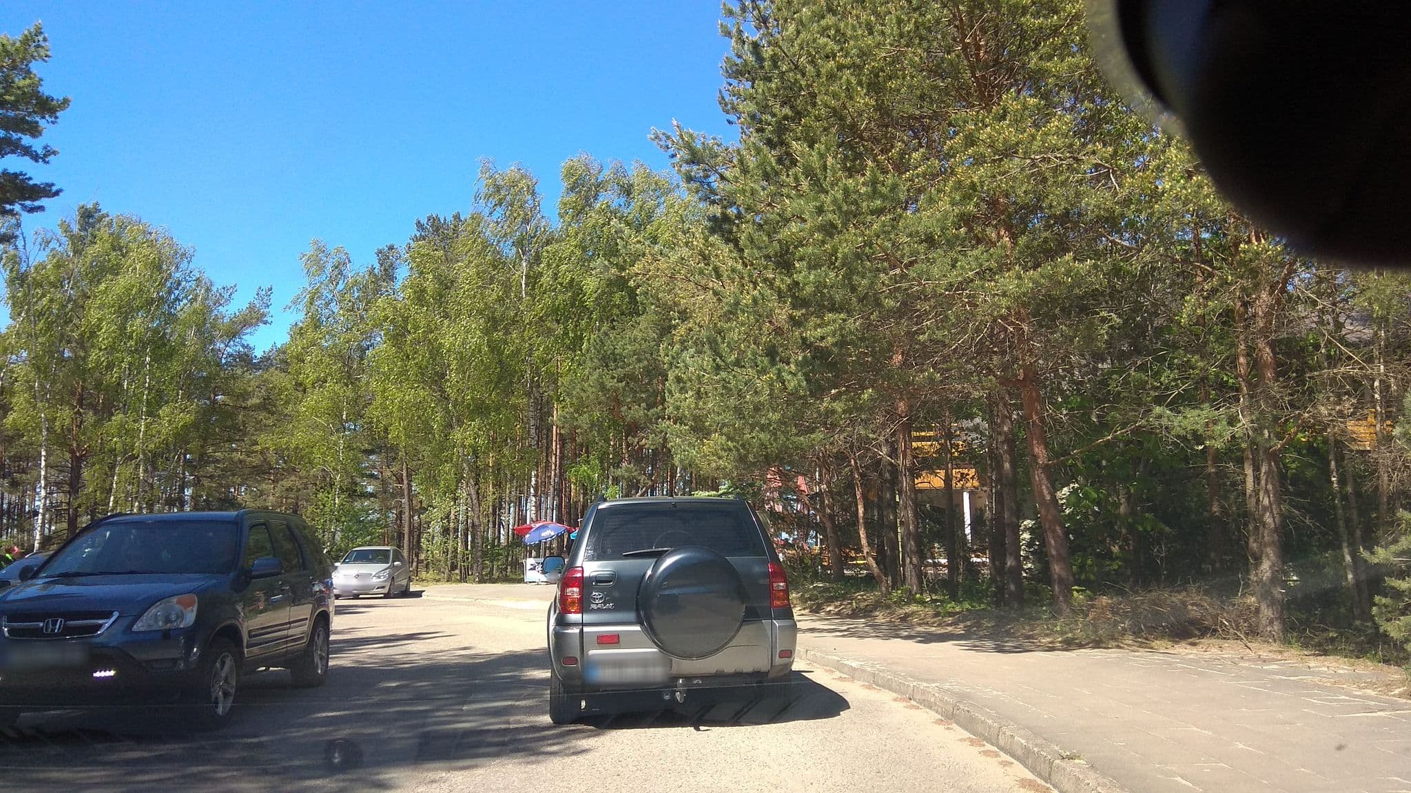 Street view near Pas Reginą, Palanga — © laukinisbriedis (CC BY-SA · Mapillary)