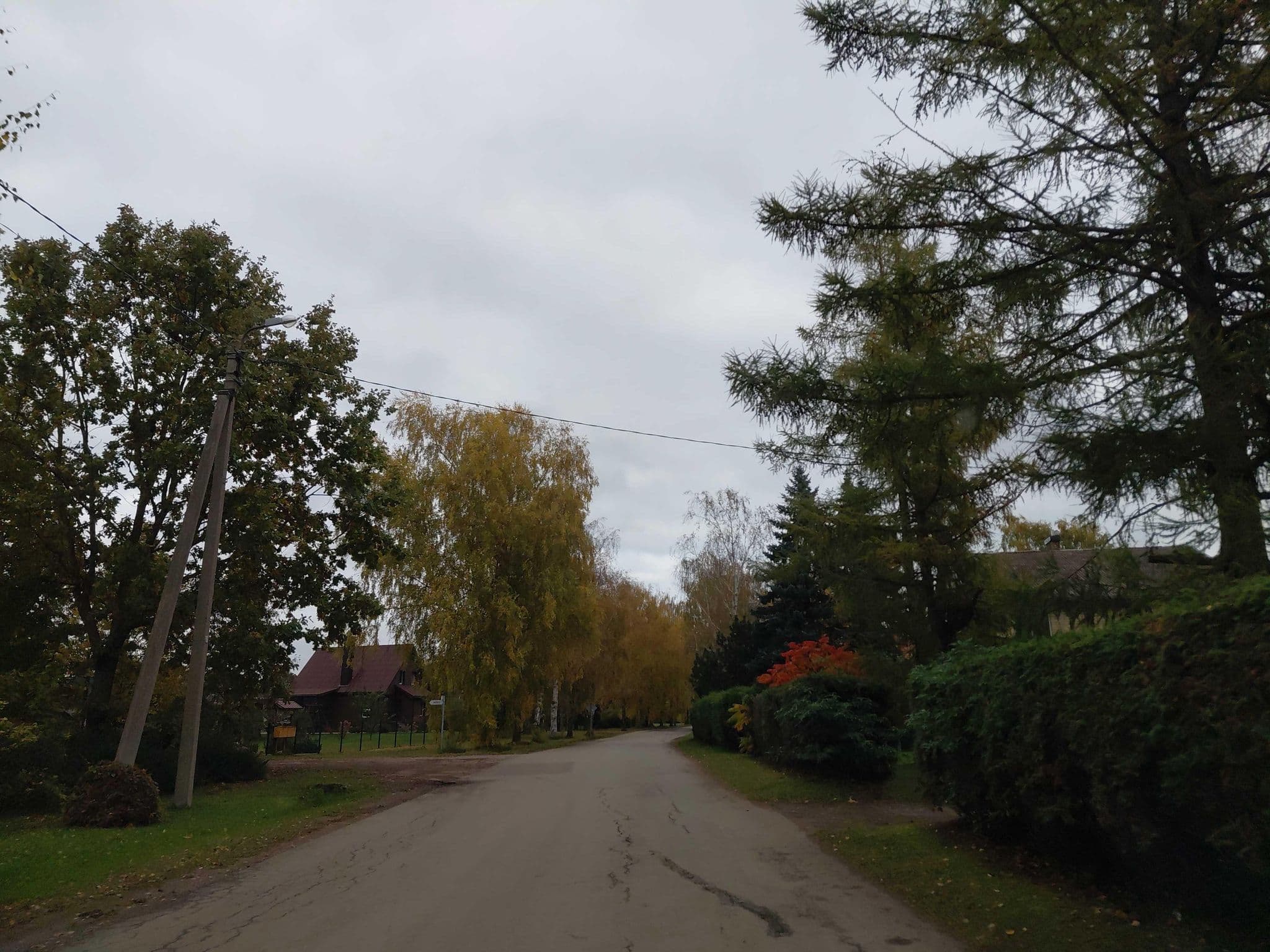 Street view near Stovyklavietė ir ekosodyba, Pasvalys — © VaidasS_Siaures (CC BY-SA · Mapillary)