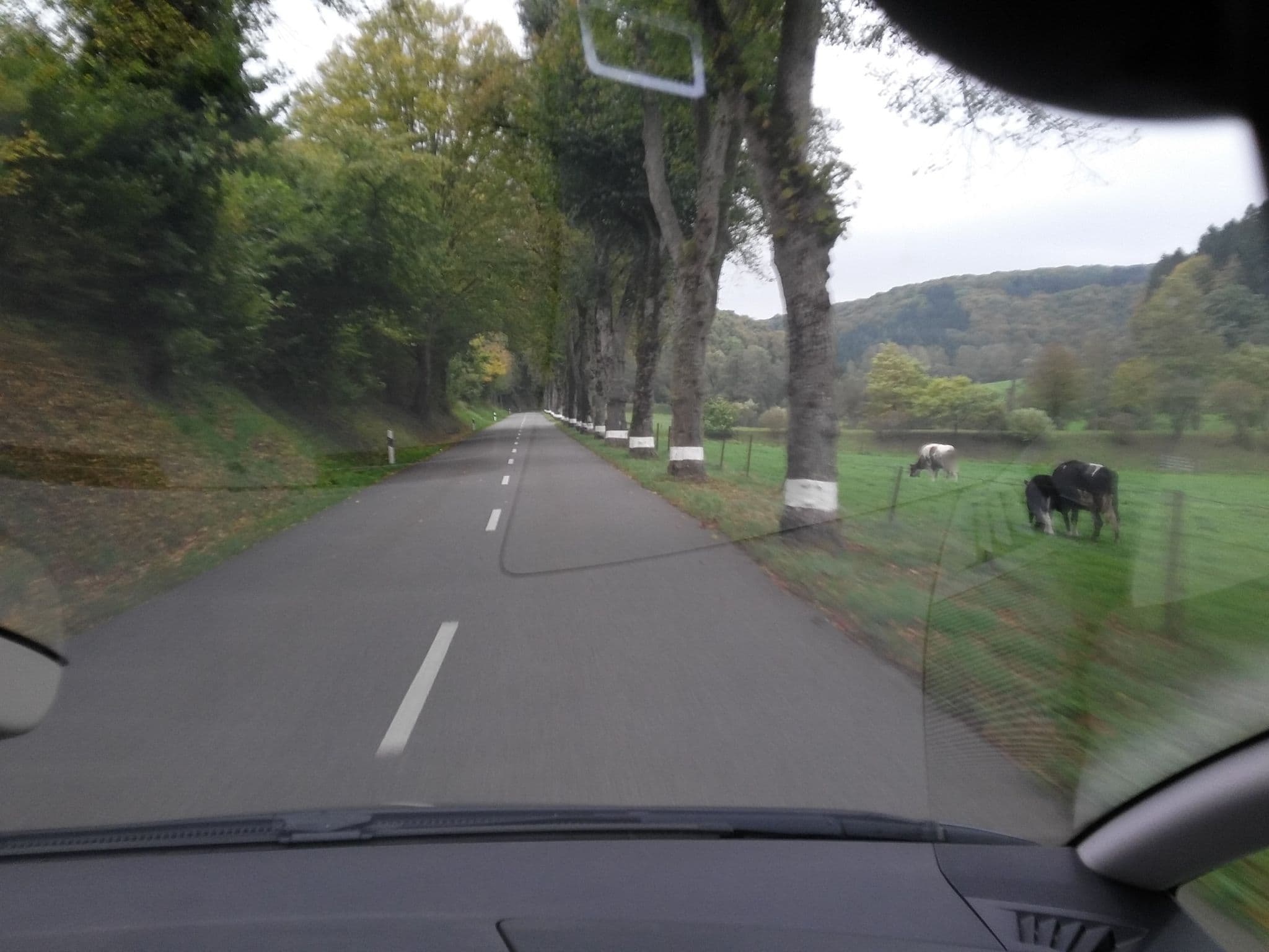 Street view near Camping an der Hô, Nospelt — © foxandpotatoes (CC BY-SA · Mapillary)