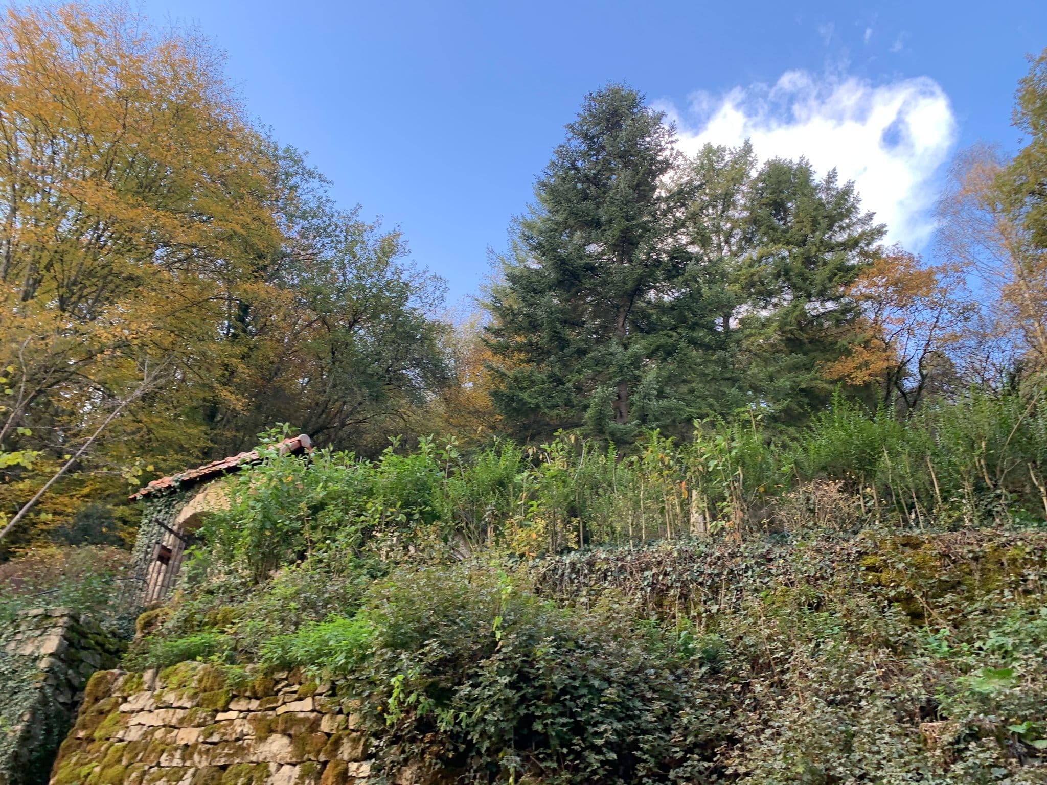 Street view near Am Fuussebau, Mertert — © stephj (CC BY-SA · Mapillary)