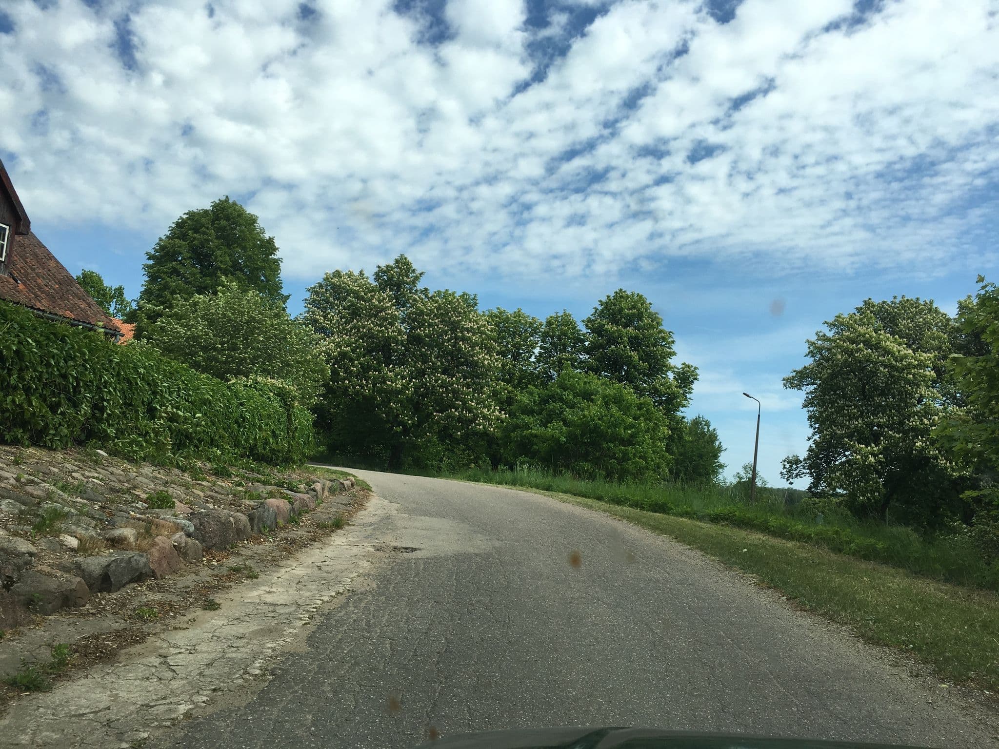 Street view near Vidi, Valdemārpils — © kriksis (CC BY-SA · Mapillary)