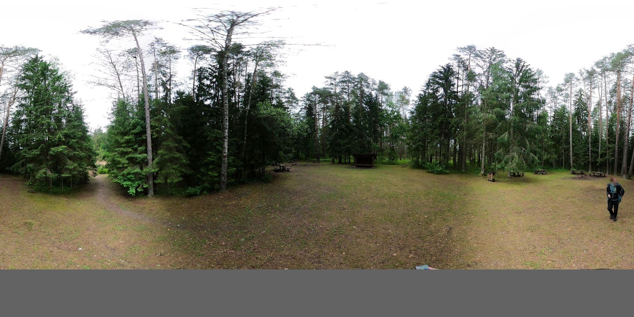 Street view near Natural camping site, Līgatne — © richlv (CC BY-SA · Mapillary)