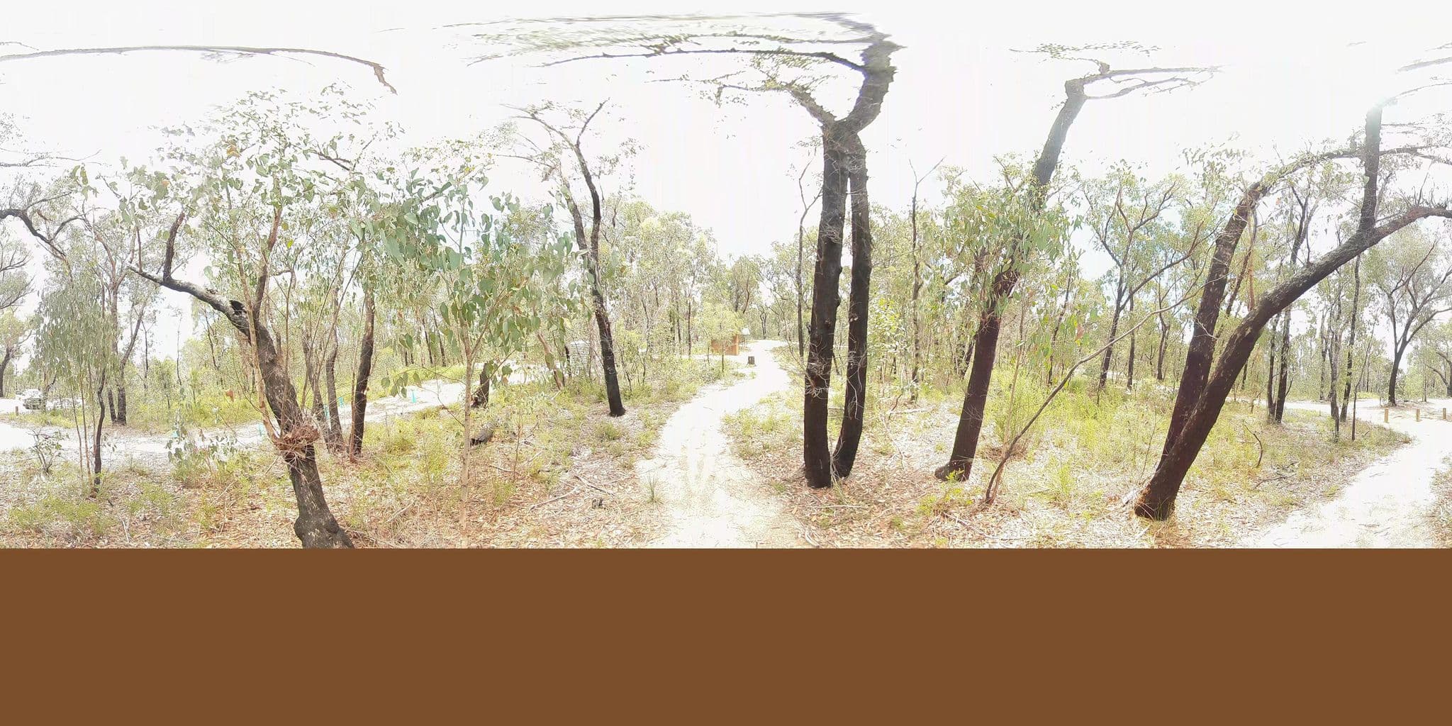 Street view near Blatherarm Camping and Picnic Area 1, Tenterfield — © Wallaby (CC BY-SA · Mapillary)