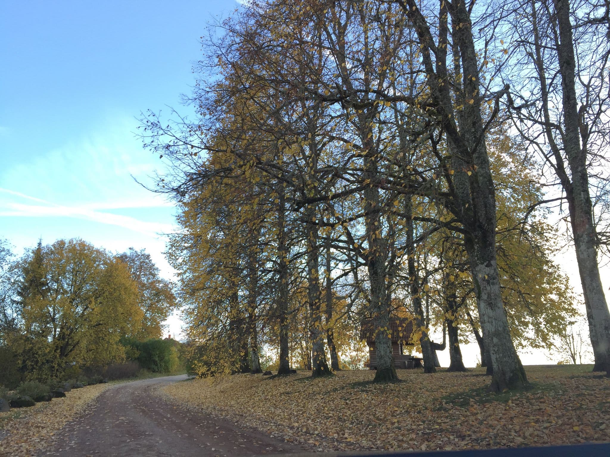 Street view near Lobes krogs, Jumprava — © richlv (CC BY-SA · Mapillary)