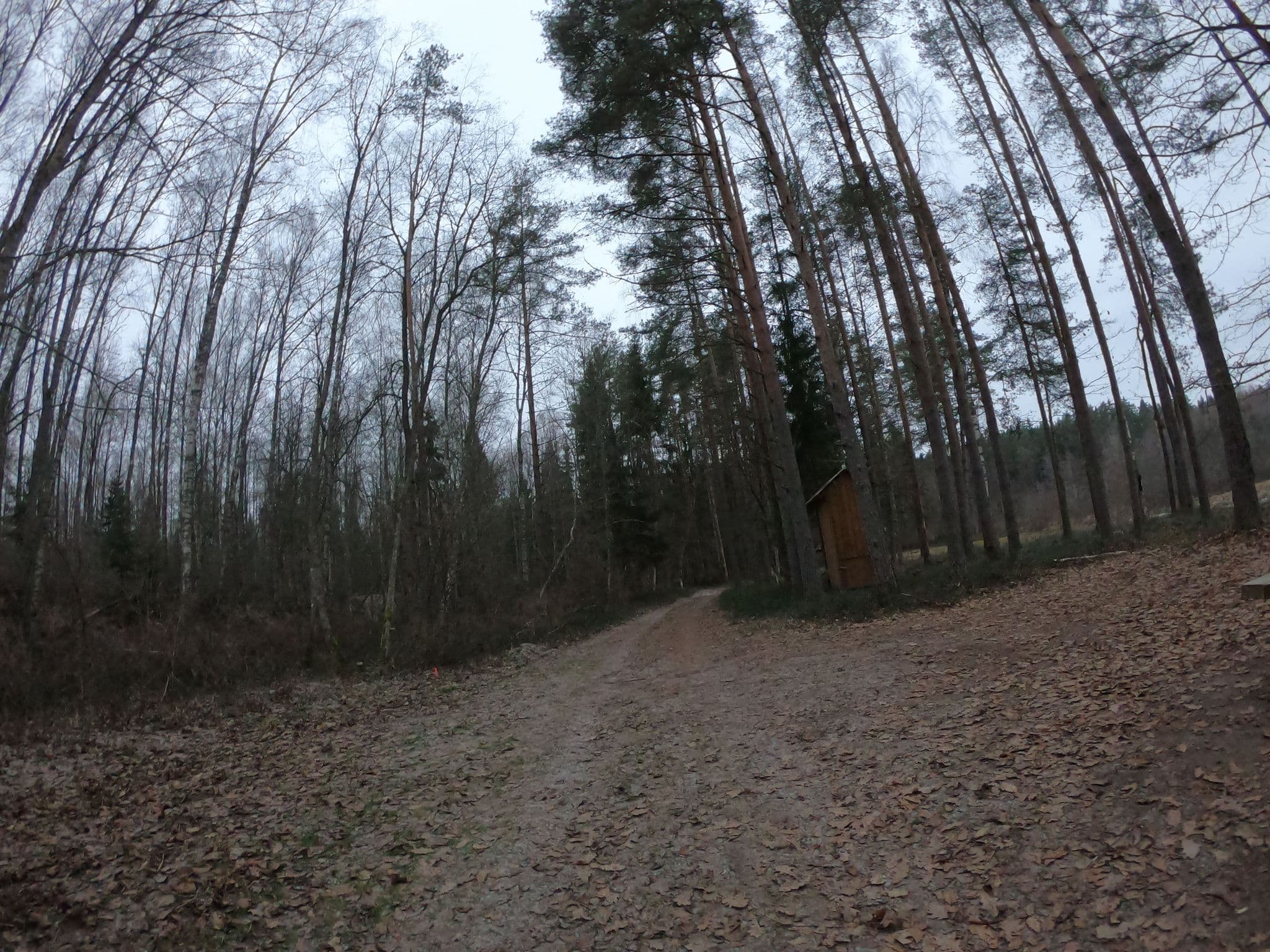 Street view near Pie Gaujas, Cēsis — © richlv (CC BY-SA · Mapillary)