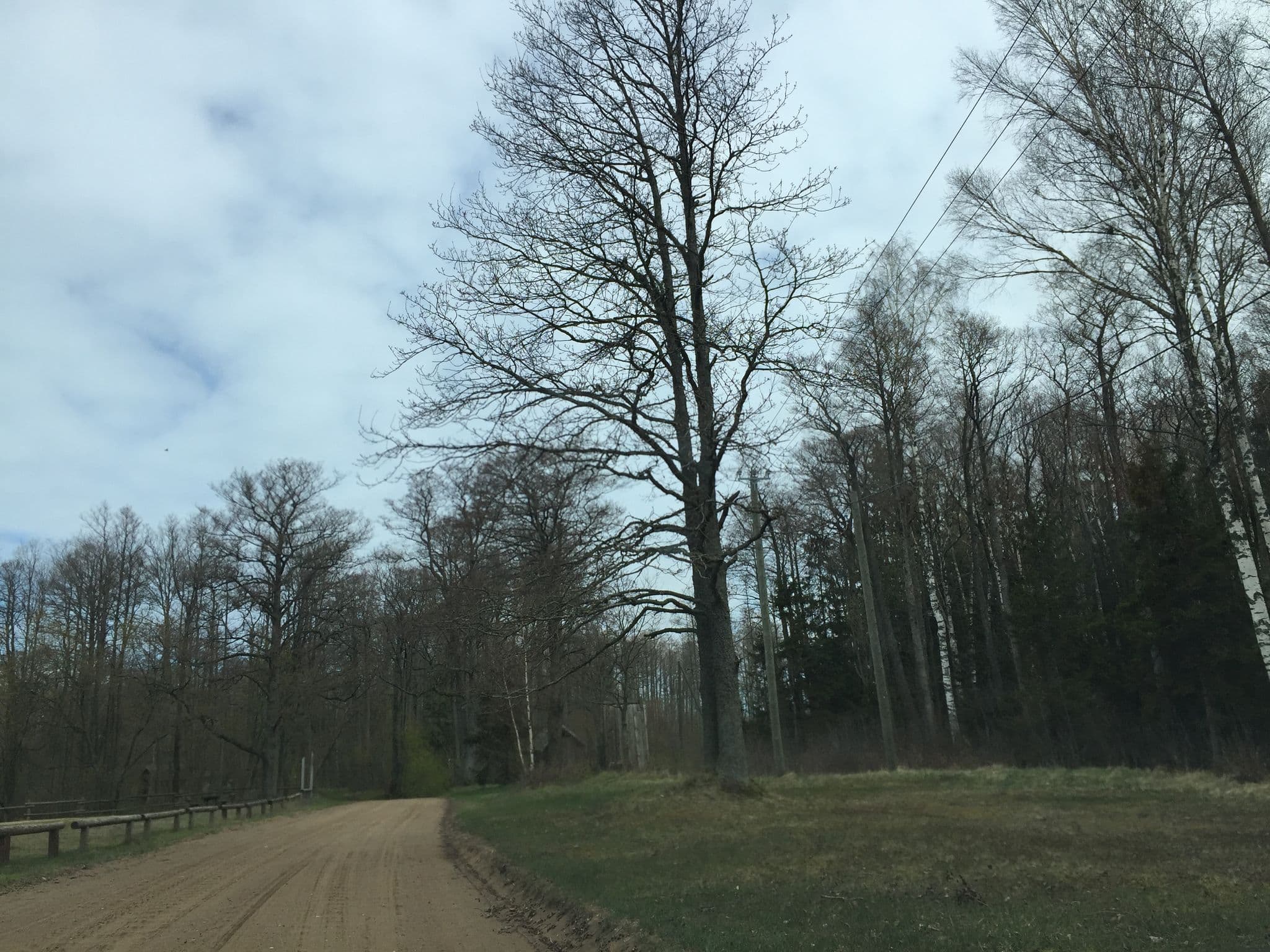 Street view near Atpūtas vietas pie jūras "Vasas", Limbaži — © richlv (CC BY-SA · Mapillary)