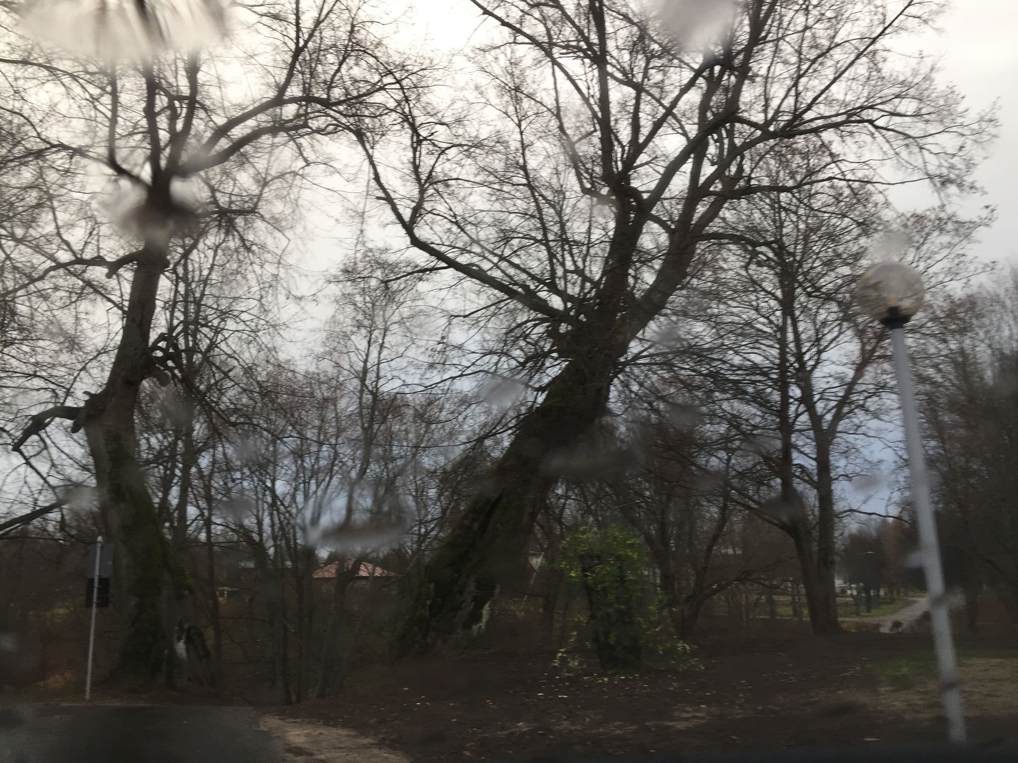 Street view near Lucas muiža, Valmiera — © richlv (CC BY-SA · Mapillary)