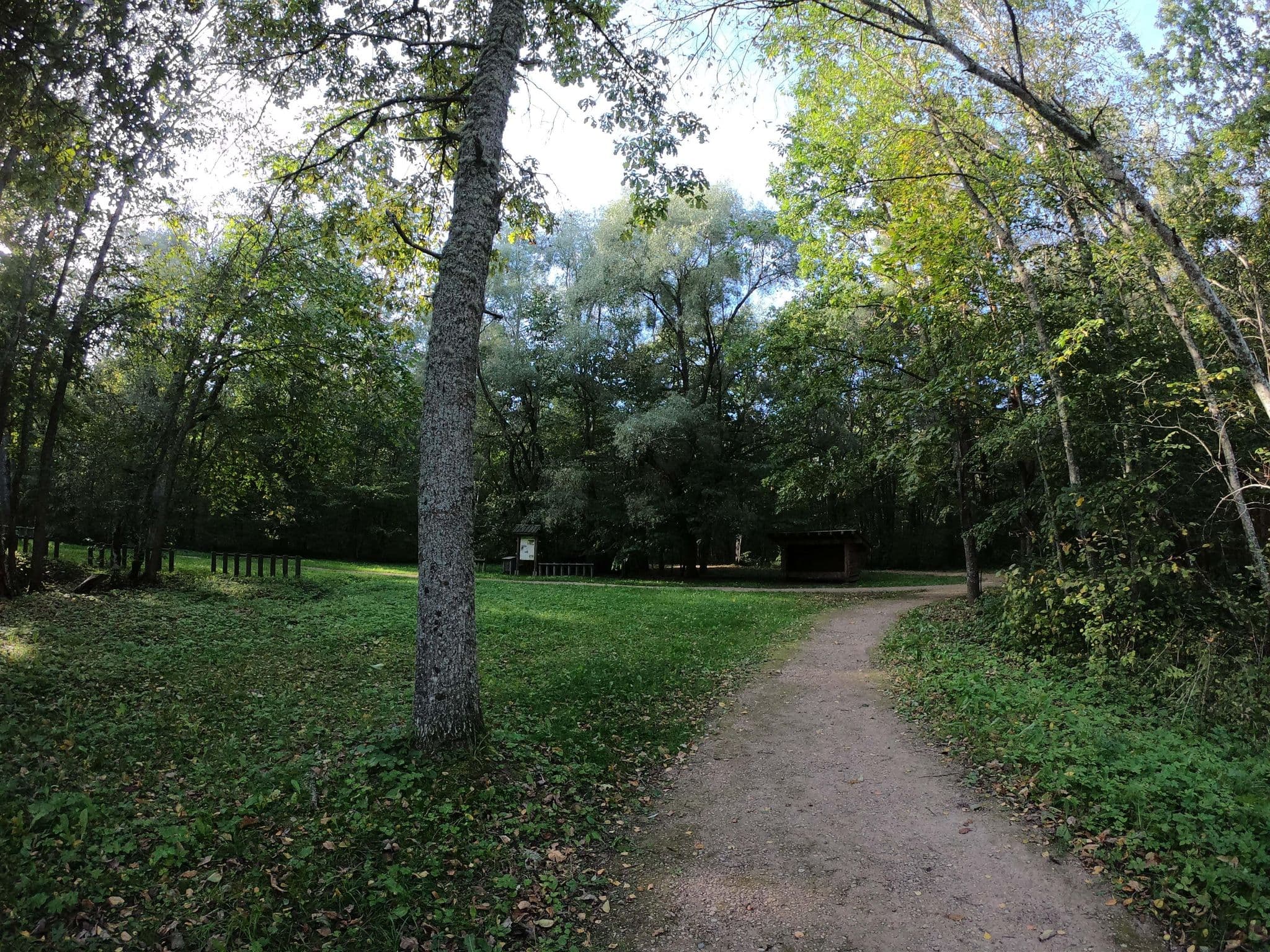 Street view near Sigulda, Sigulda — © richlv (CC BY-SA · Mapillary)