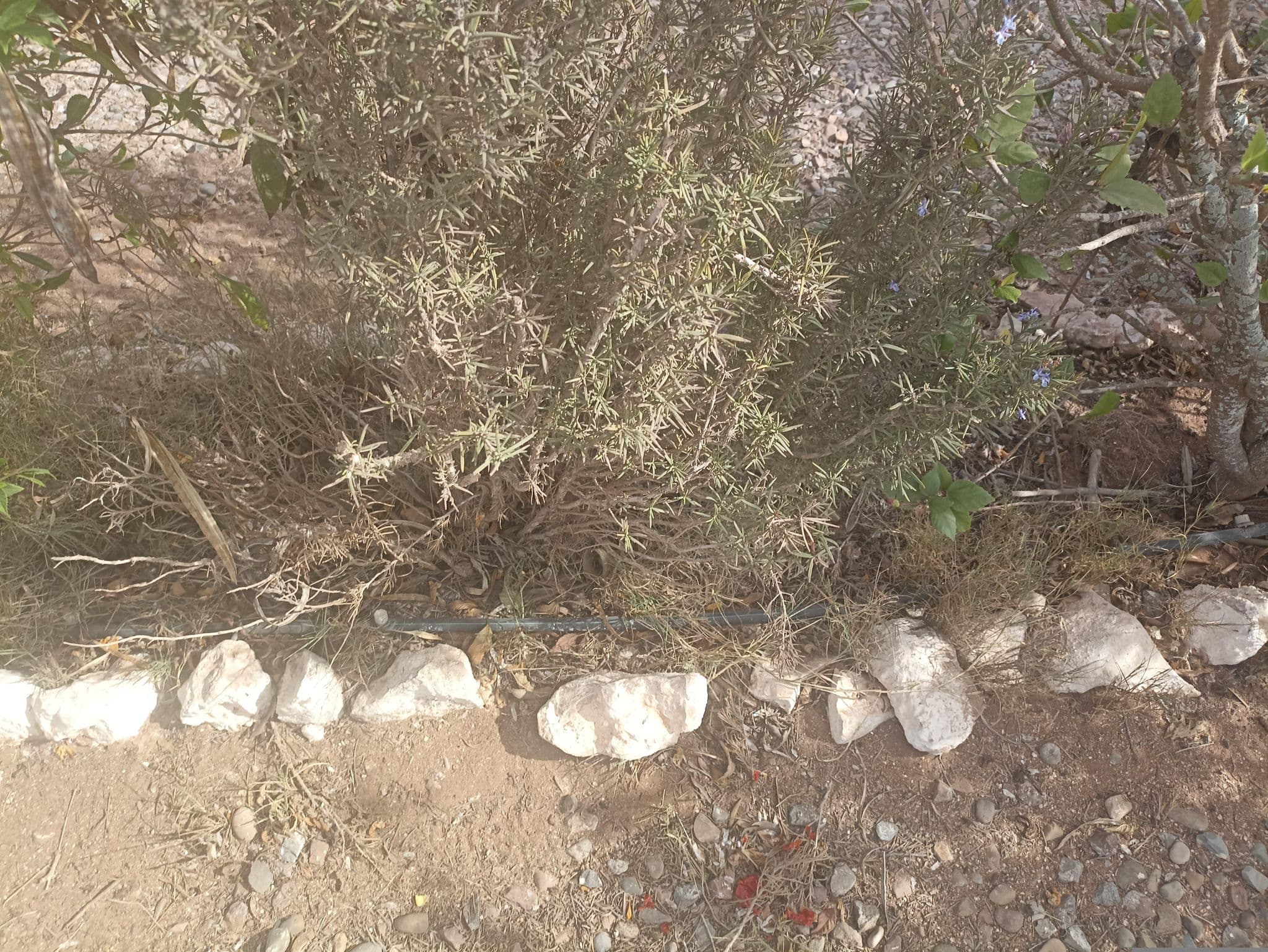Street view near Camp Takat, Sidi Bibi — © chrisku910 (CC BY-SA · Mapillary)
