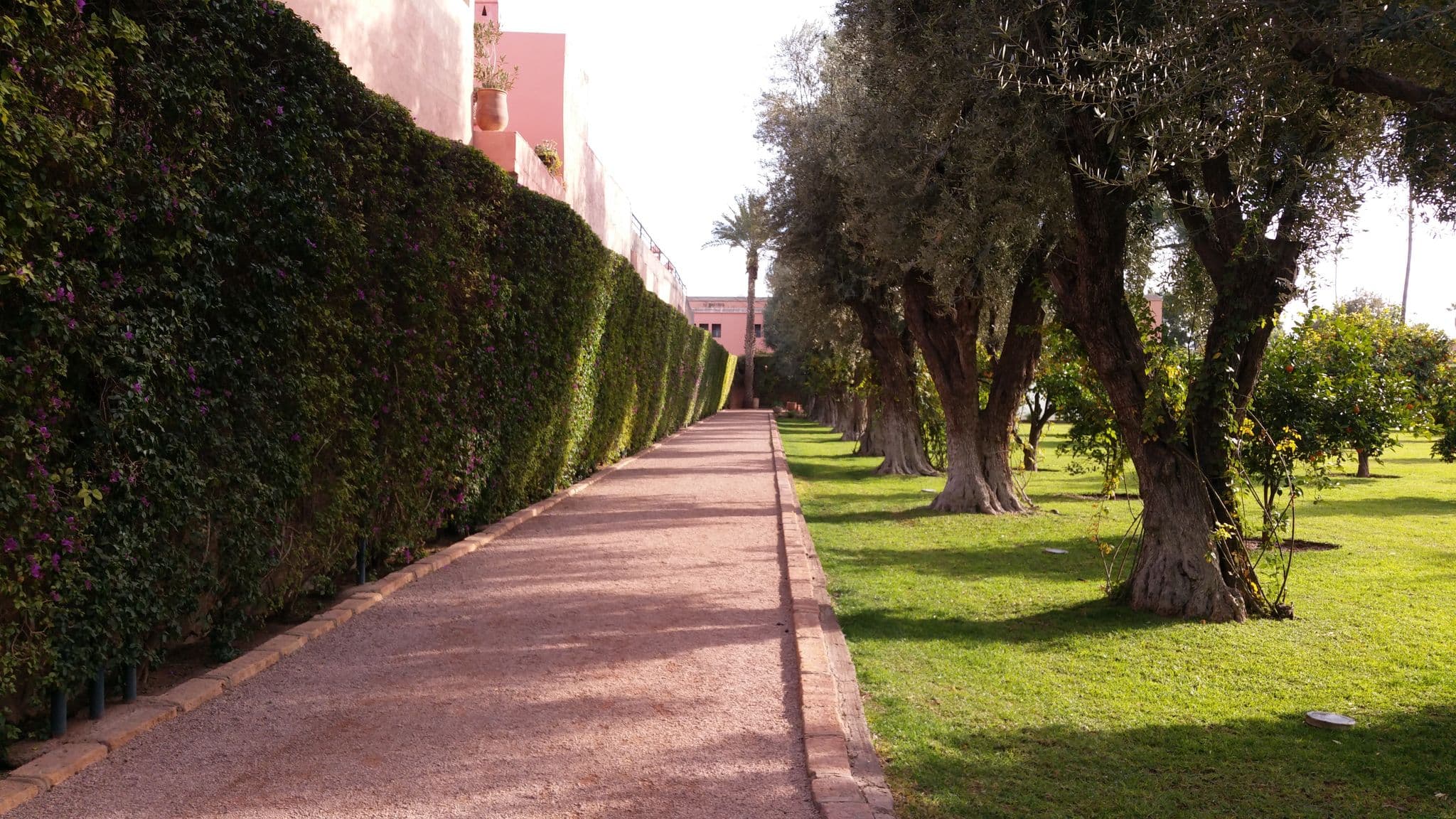 Street view near Riad Dar Mimouna, Marrakesh — © shlublu (CC BY-SA · Mapillary)