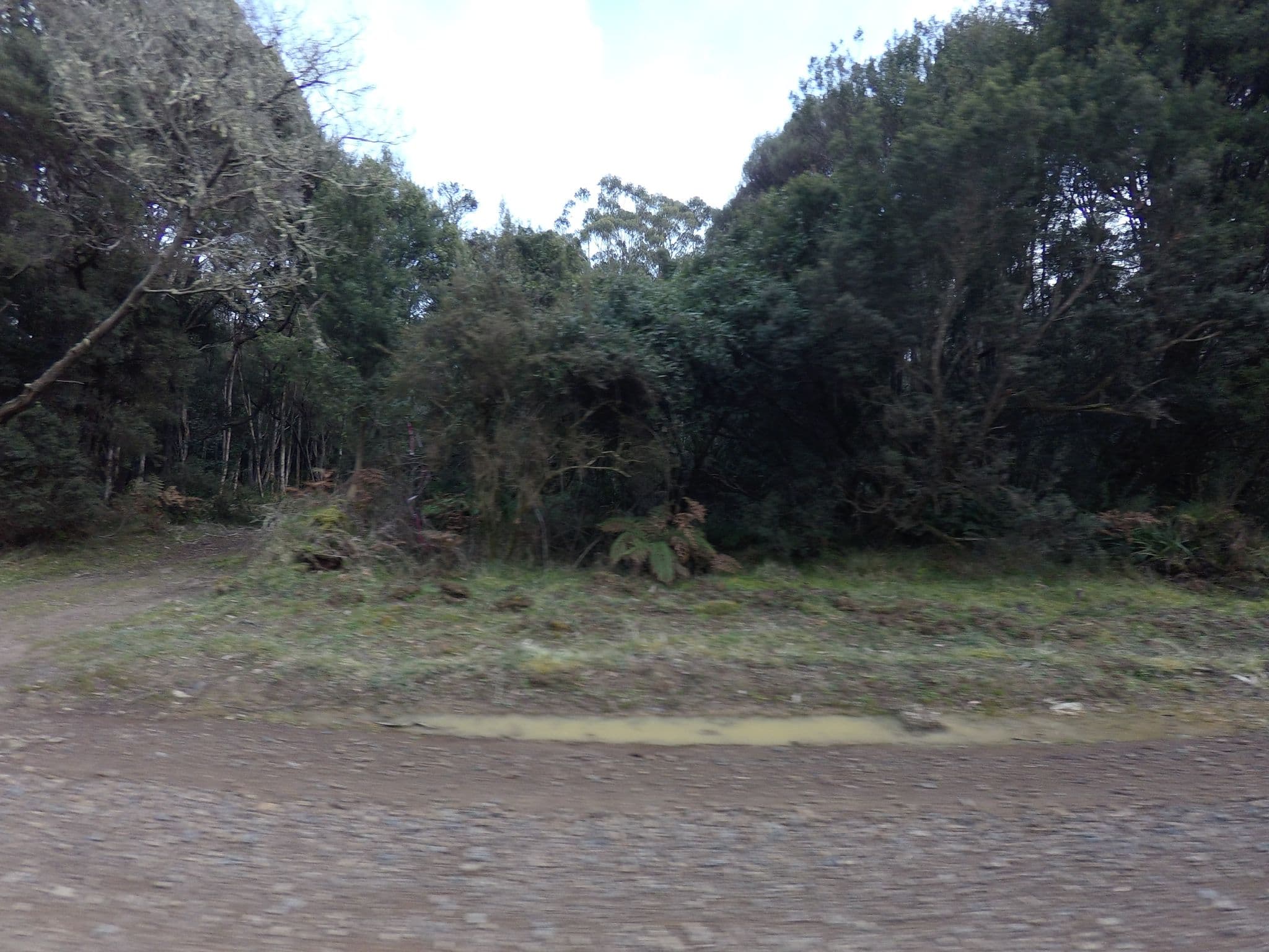 Street view near Gilhams Beach Campground, Geeveston — © tastrax (CC BY-SA · Mapillary)