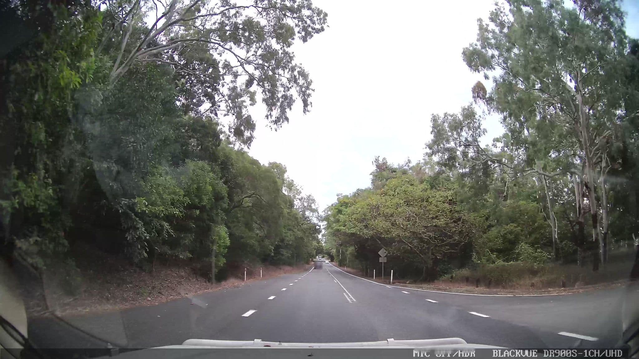 Street view near Buchan Point, Palm Cove — © jthnz (CC BY-SA · Mapillary)