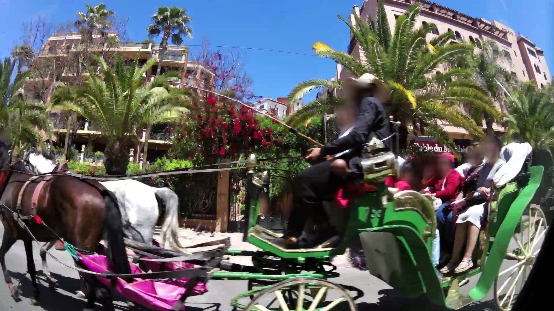 Street view near Hivernage Hotel & SPA, Marrakesh