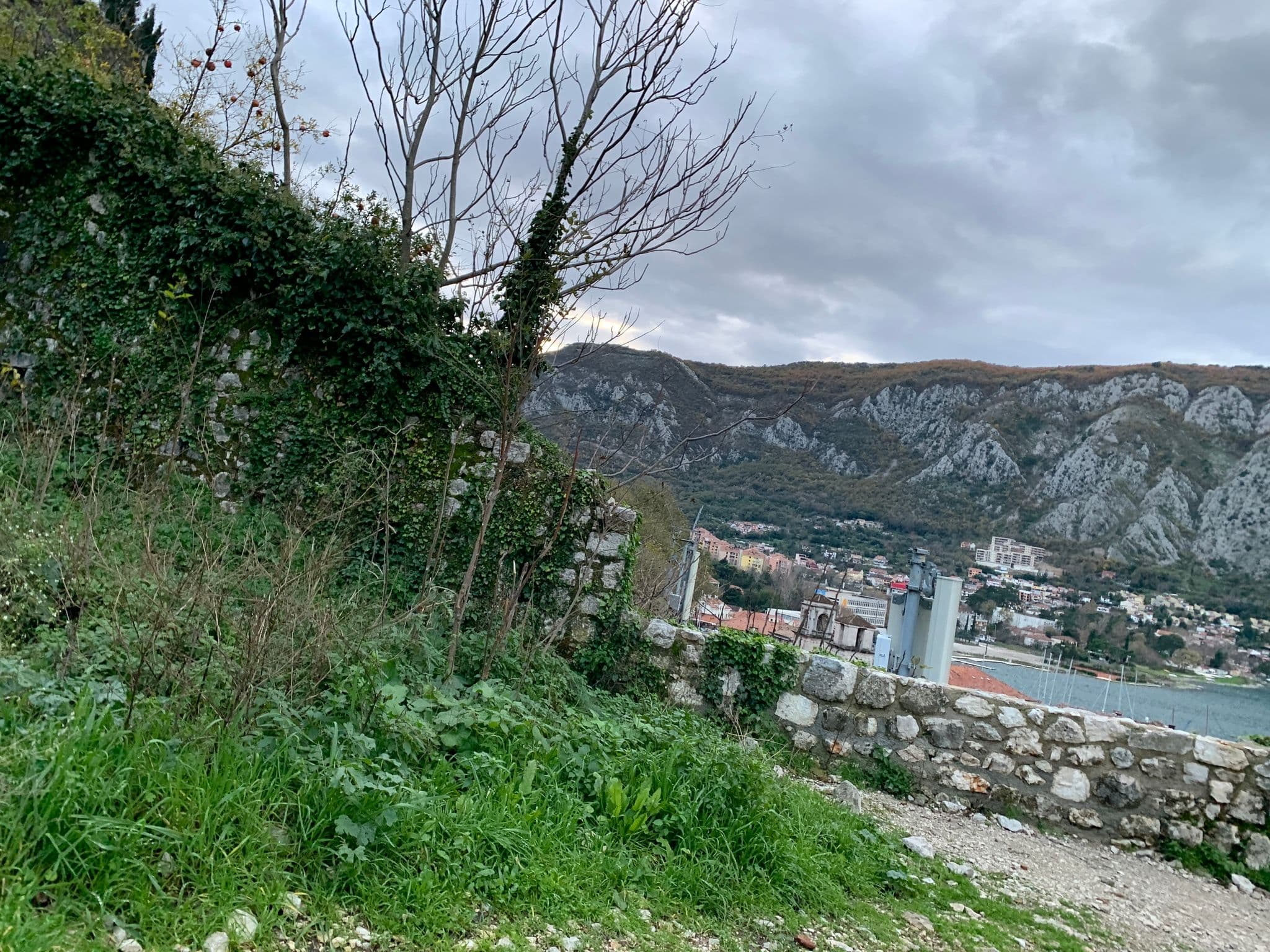 Street view near Cattaro Lux, Kotor — © egorka (CC BY-SA · Mapillary)