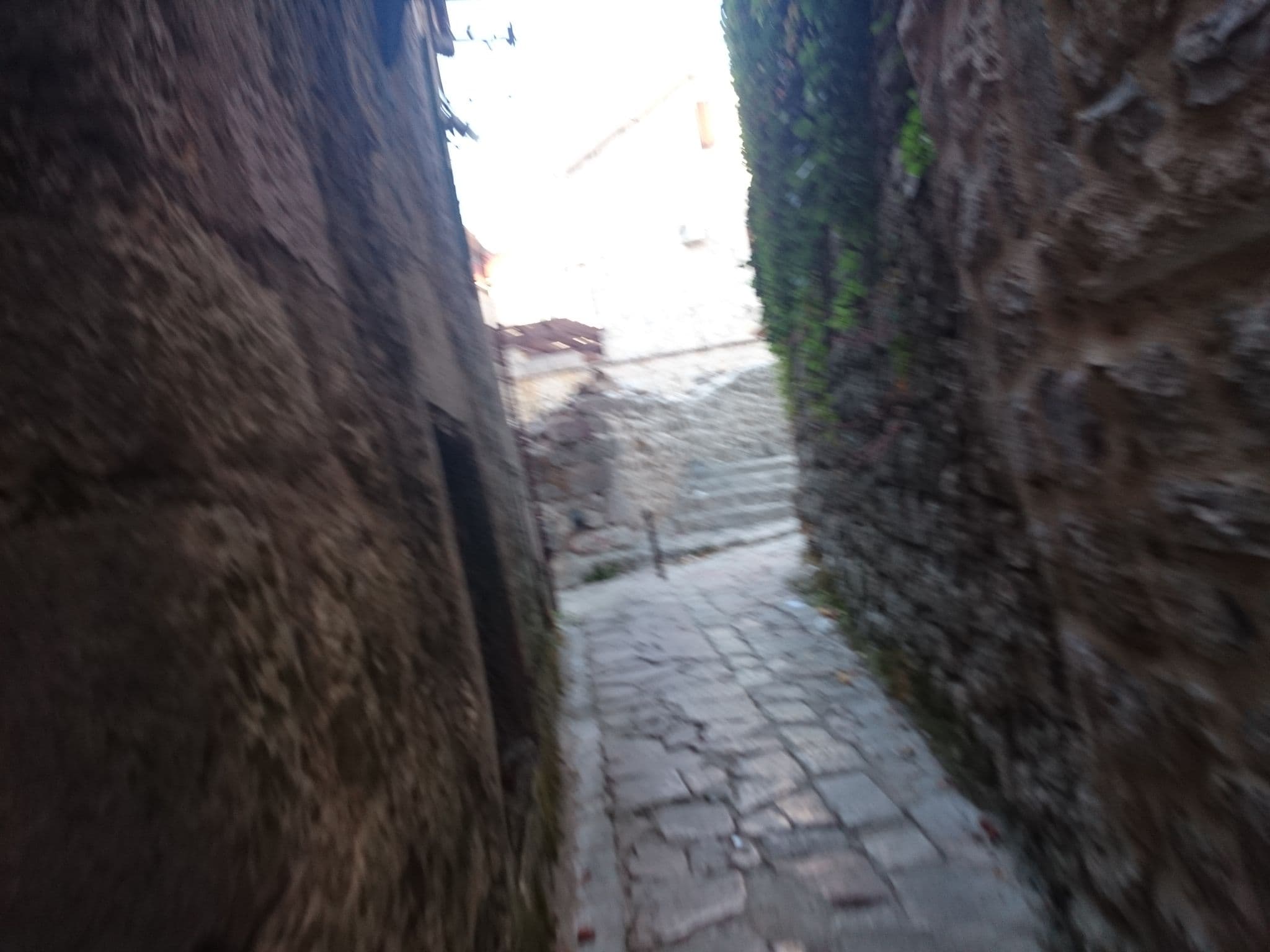 Street view near Hippocampus, Kotor — © ebel (CC BY-SA · Mapillary)