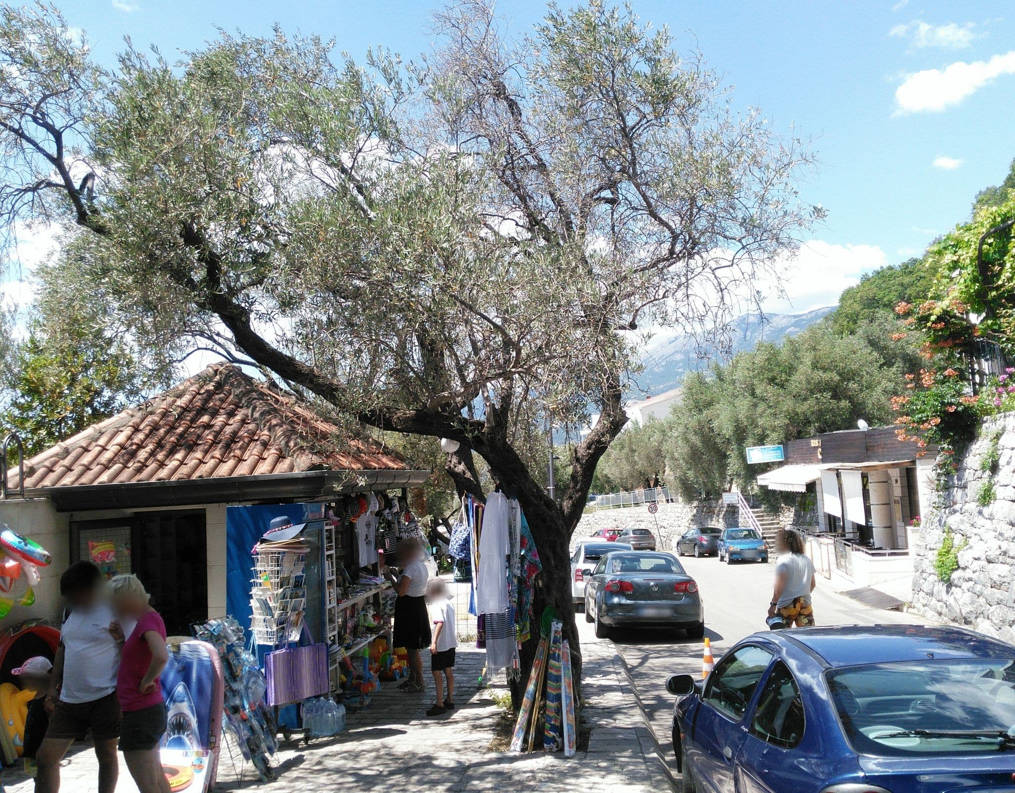 Street view near Vila Drago, Budva