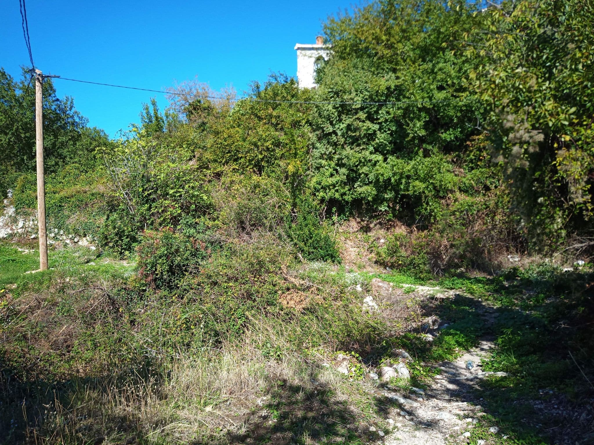 Street view near Villa Nera, Budva