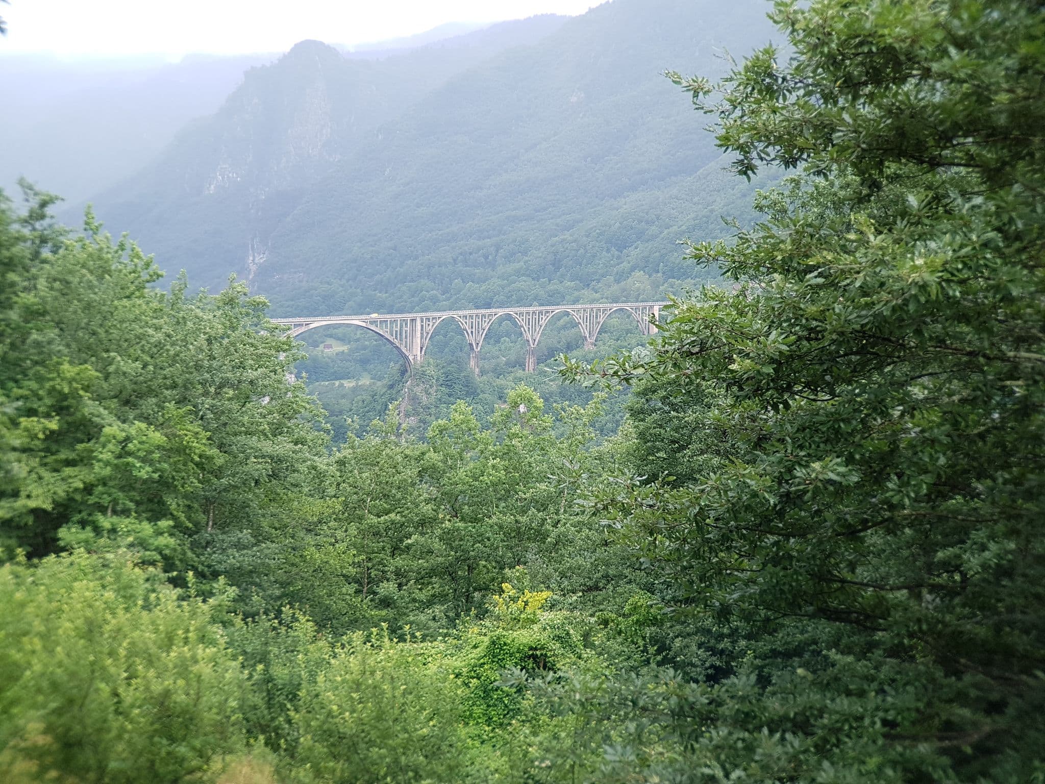 Street view near Guest House nTara Canyon, Žabljak — © rootkitten (CC BY-SA · Mapillary)