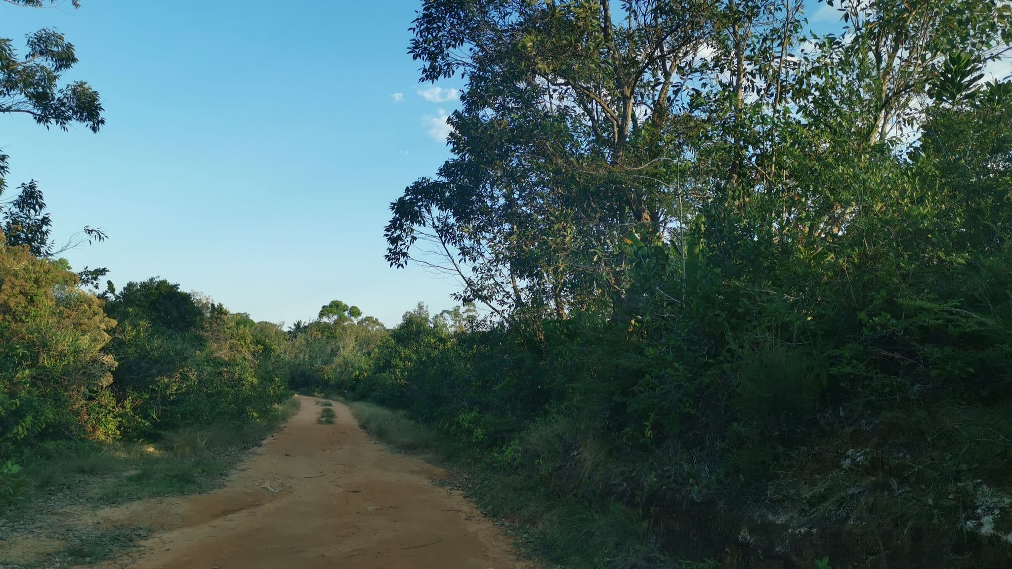 Street view near Motel M1, Vohipaho — © thierryrth (CC BY-SA · Mapillary)