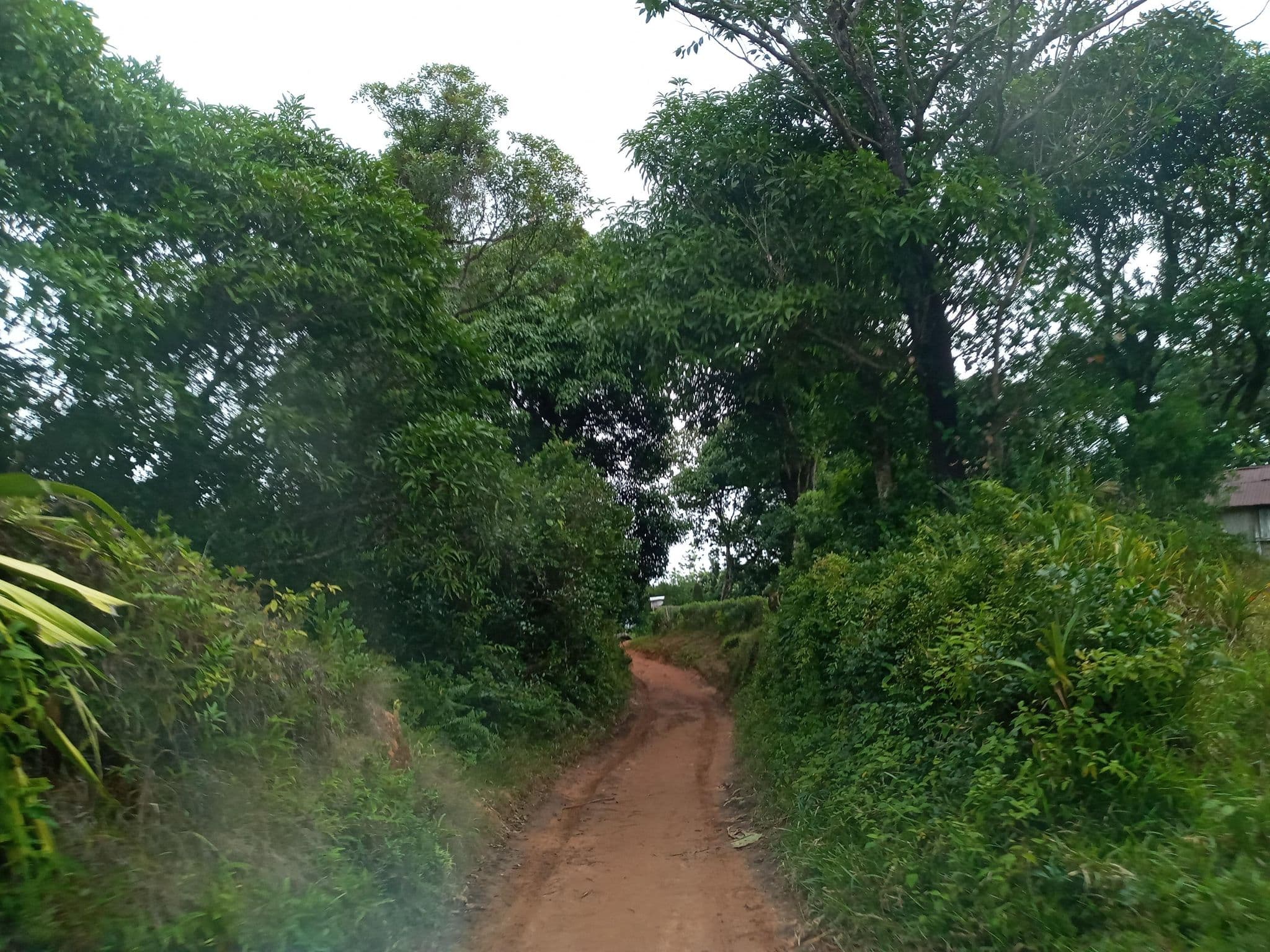 Street view near Chez Nordine, Vohipaho — © PACTRN12PC2 (CC BY-SA · Mapillary)