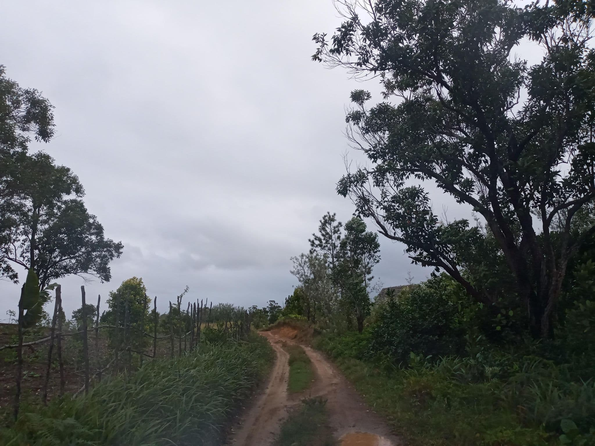 Street view near Chez Mamie Louise, Vohipaho — © PACTRN12PC2 (CC BY-SA · Mapillary)