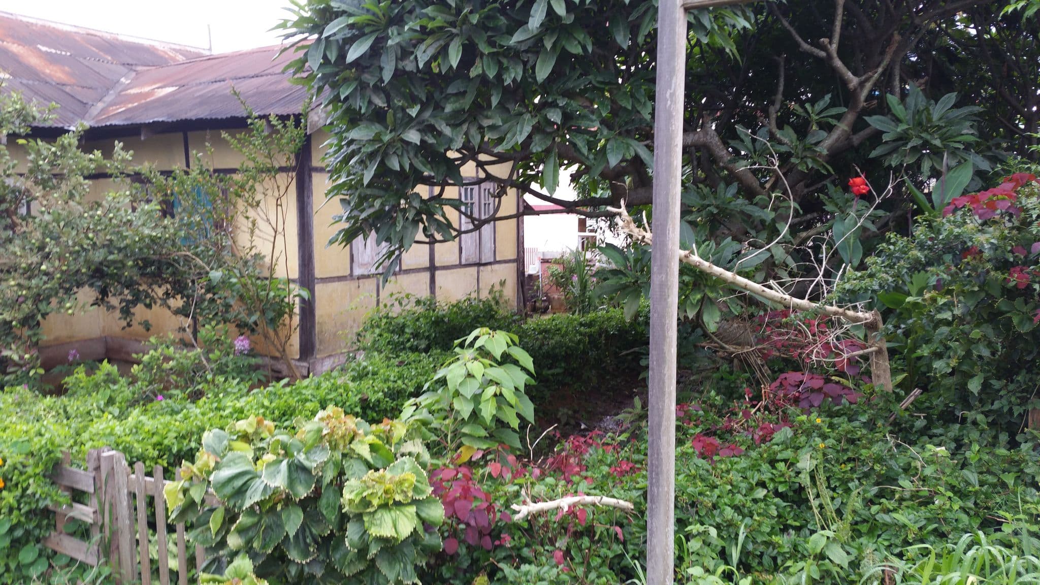 Street view near Pine Land Inn, Kalaw — © shlublu (CC BY-SA · Mapillary)