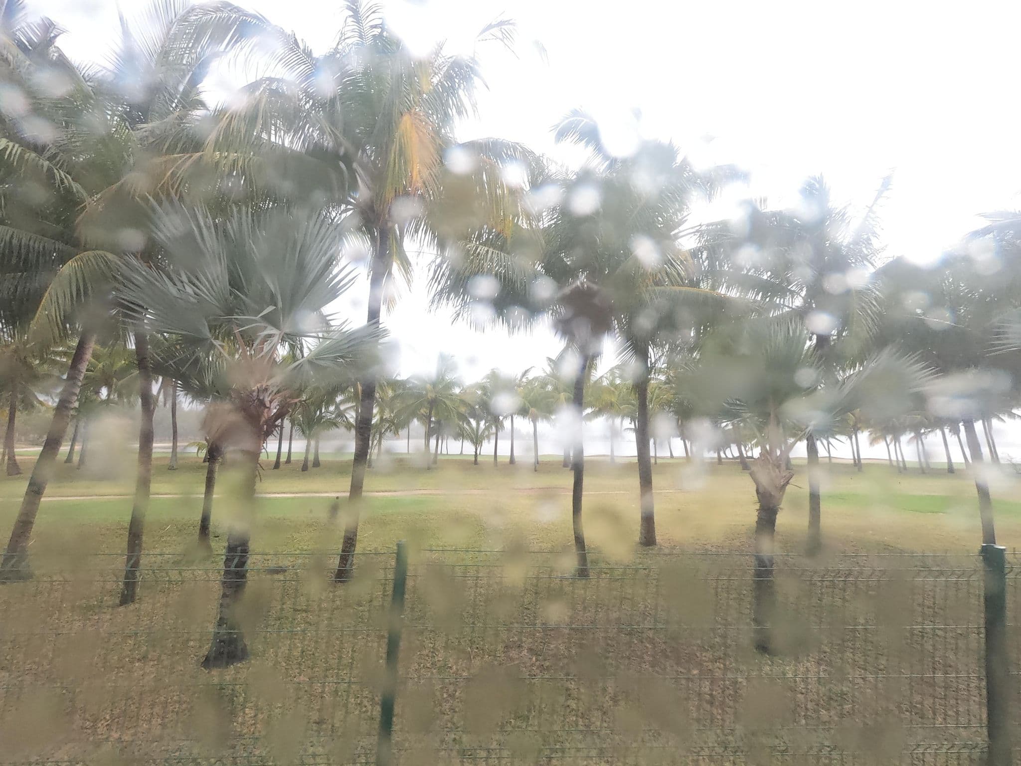 Street view near Pik-pik, Petite Case Noyale — © filohipo (CC BY-SA · Mapillary)