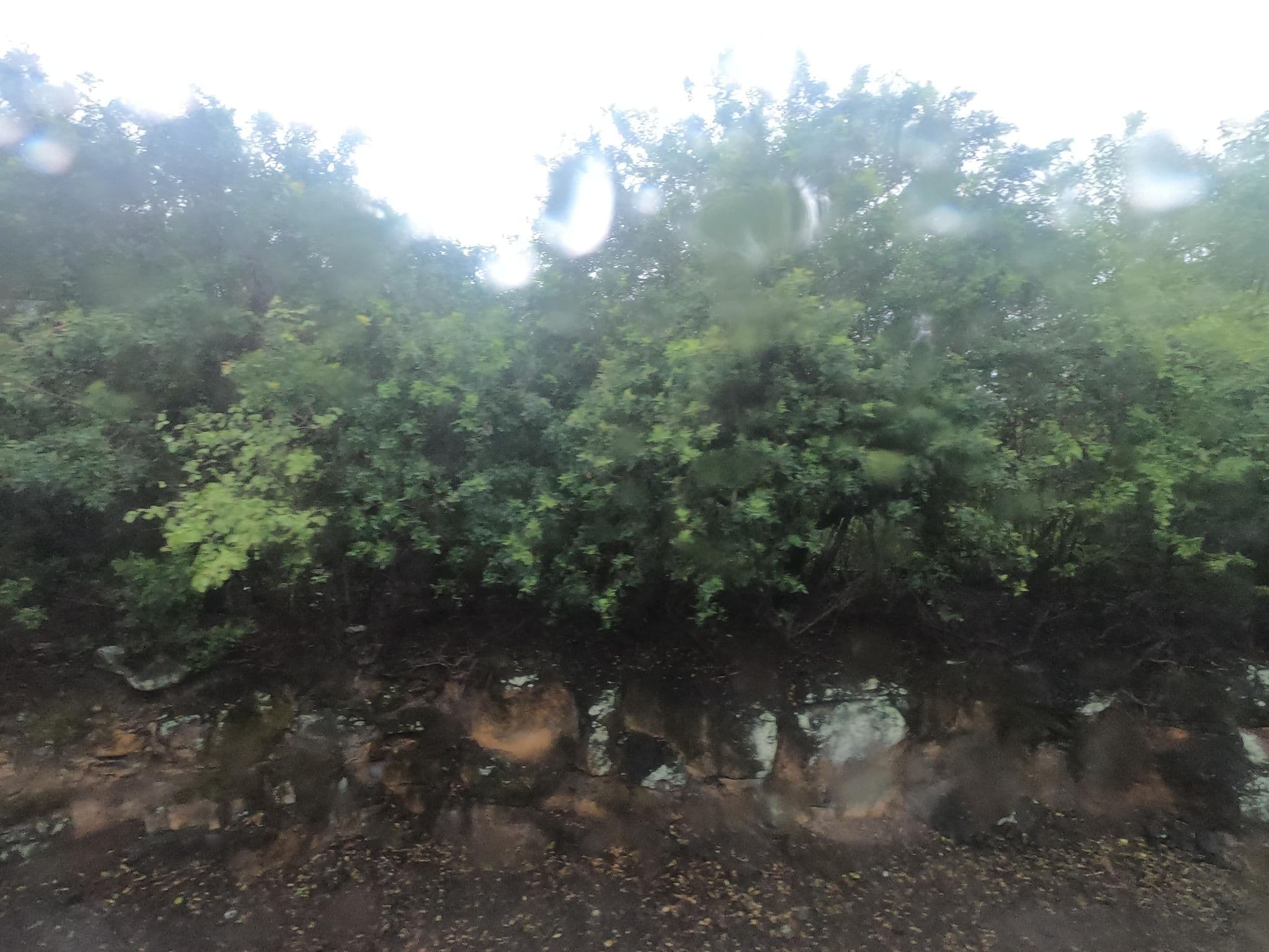 Street view near Hotel Shanti Maurice, Chemin Grenier — © filohipo (CC BY-SA · Mapillary)