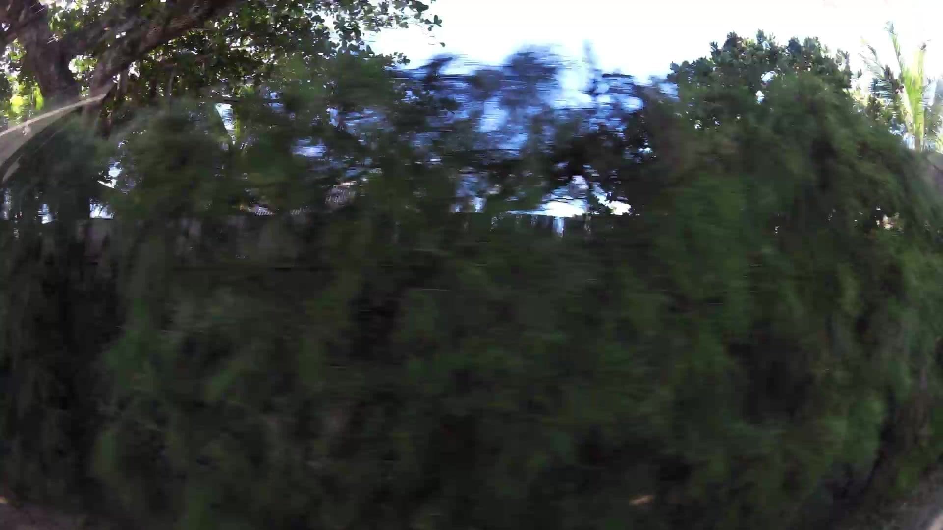 Street view near Coral Bay, Beau Vallon — © kaartcam (CC BY-SA · Mapillary)