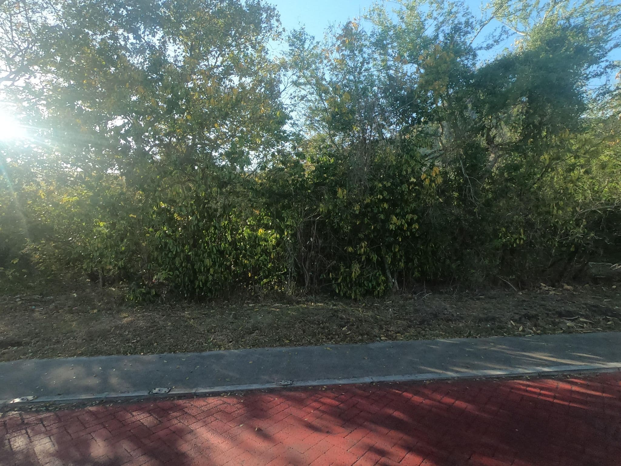 Street view near Pingo Studios, Petite Case Noyale — © filohipo (CC BY-SA · Mapillary)
