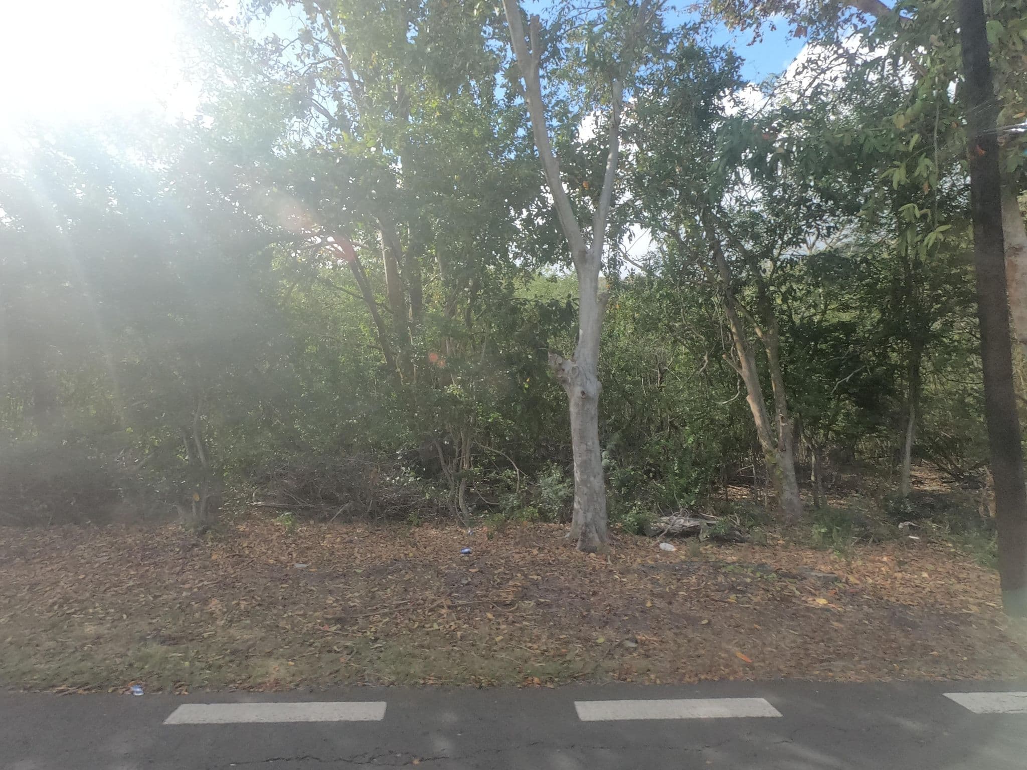 Street view near Riverside, Petite Case Noyale — © filohipo (CC BY-SA · Mapillary)