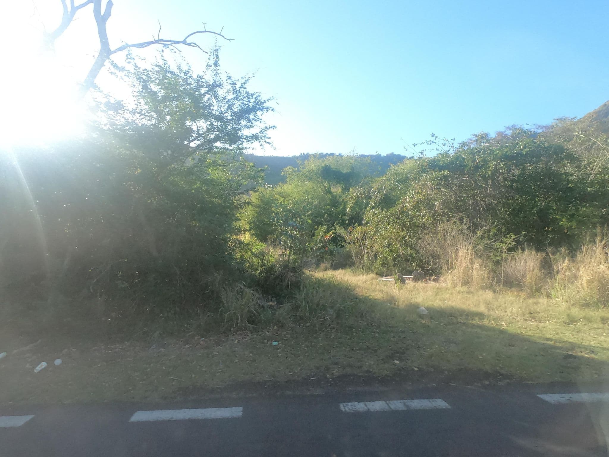 Street view near Pingo Premium, Petite Case Noyale — © filohipo (CC BY-SA · Mapillary)