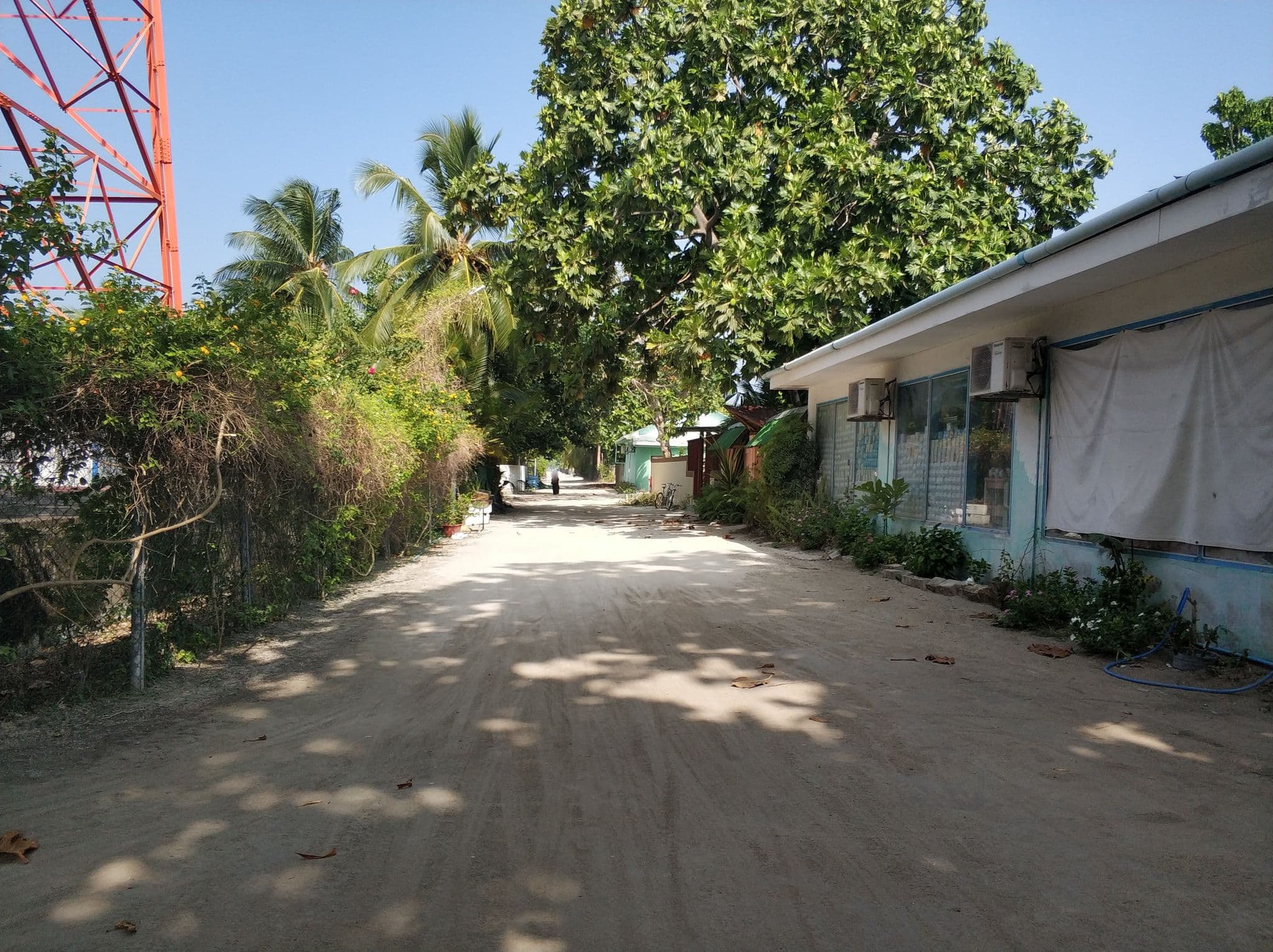 Street view near Manta stay, Mahibadhoo