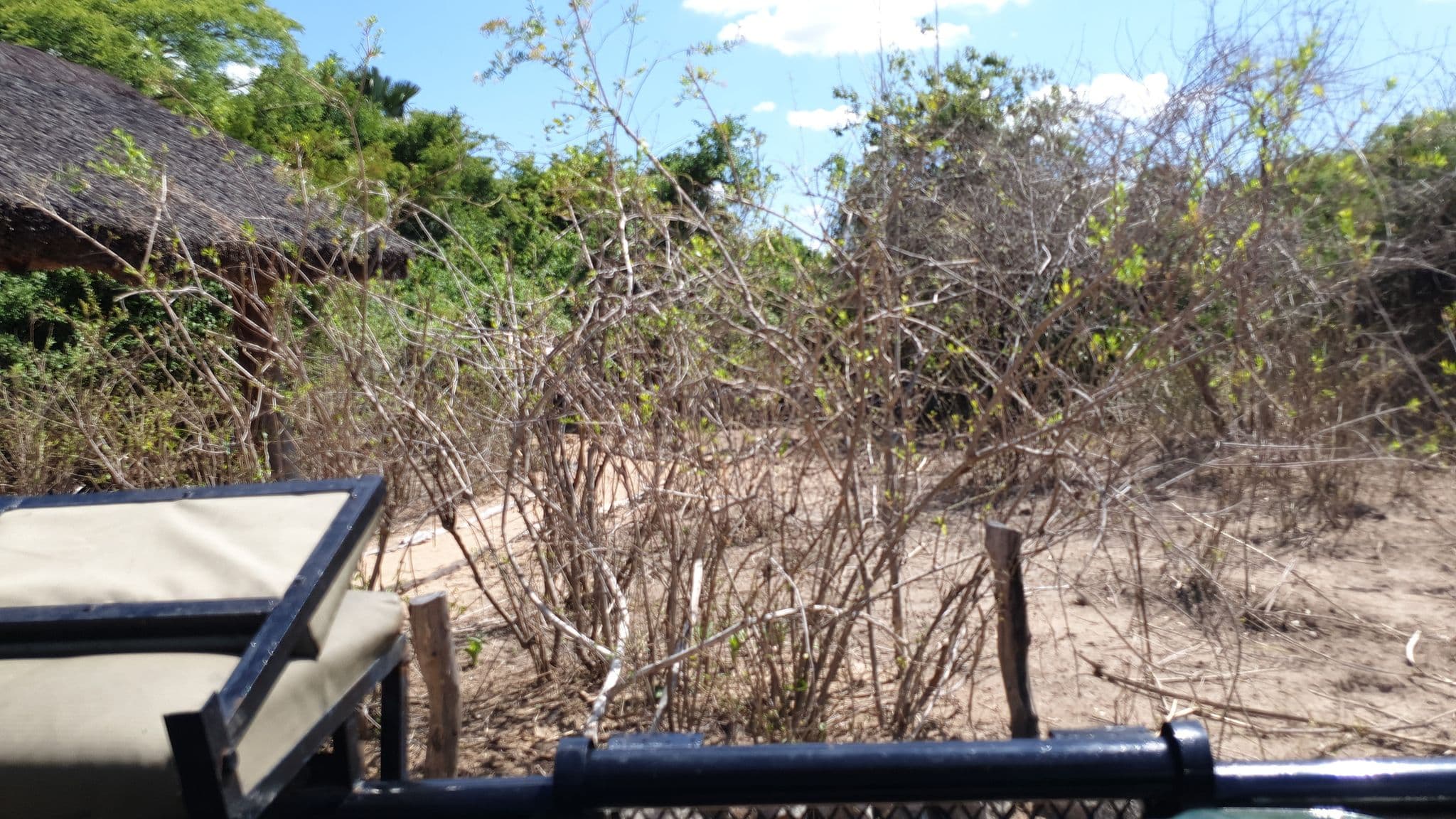 Street view near Mvuu Wilderness Lodge, Liwonde — © jthnz (CC BY-SA · Mapillary)