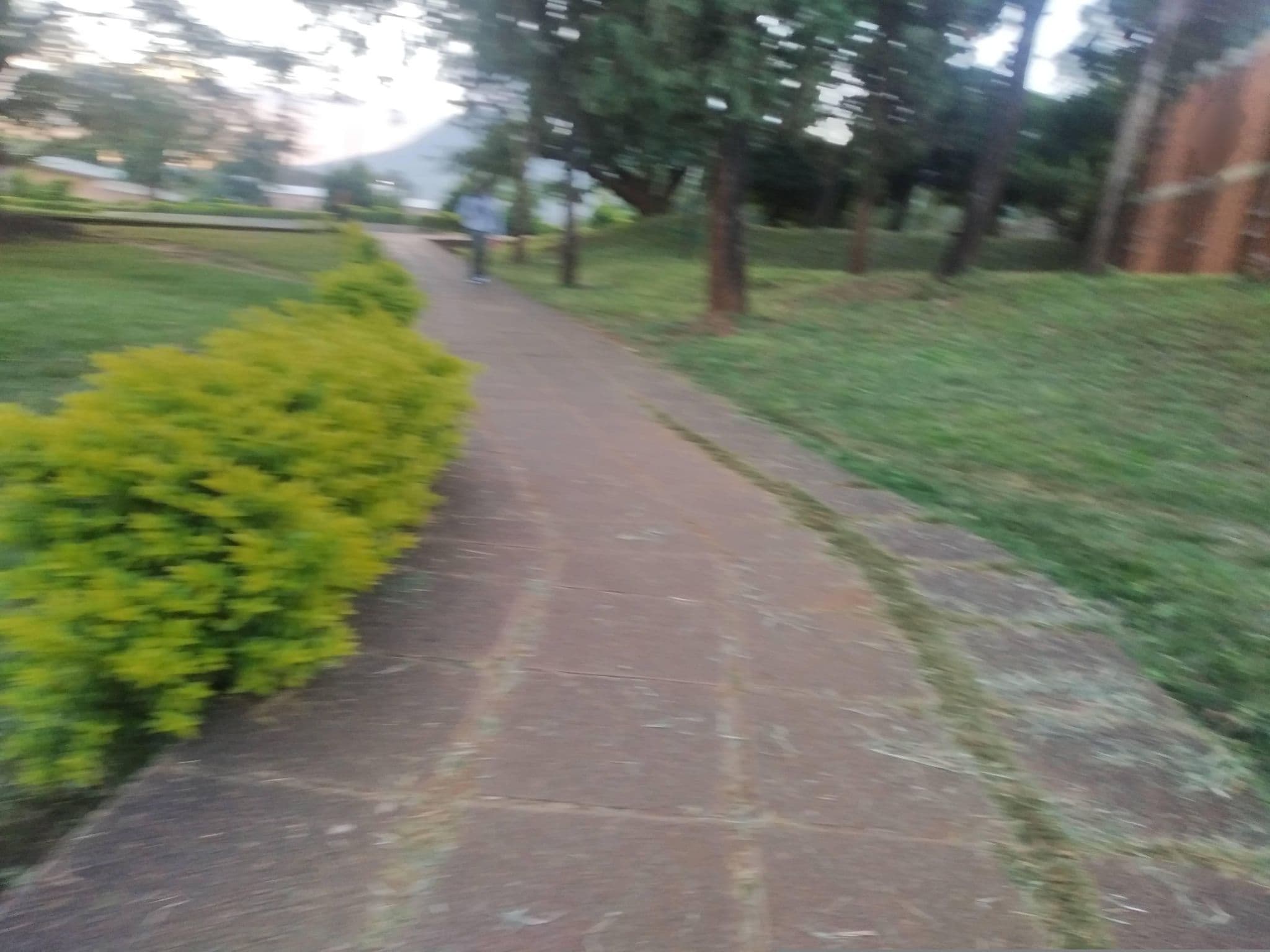 Street view near Beit Trust Hall, Zomba — © macleannyasulu (CC BY-SA · Mapillary)